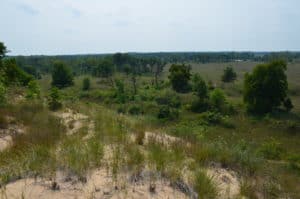 View from the Dune Succession Trail