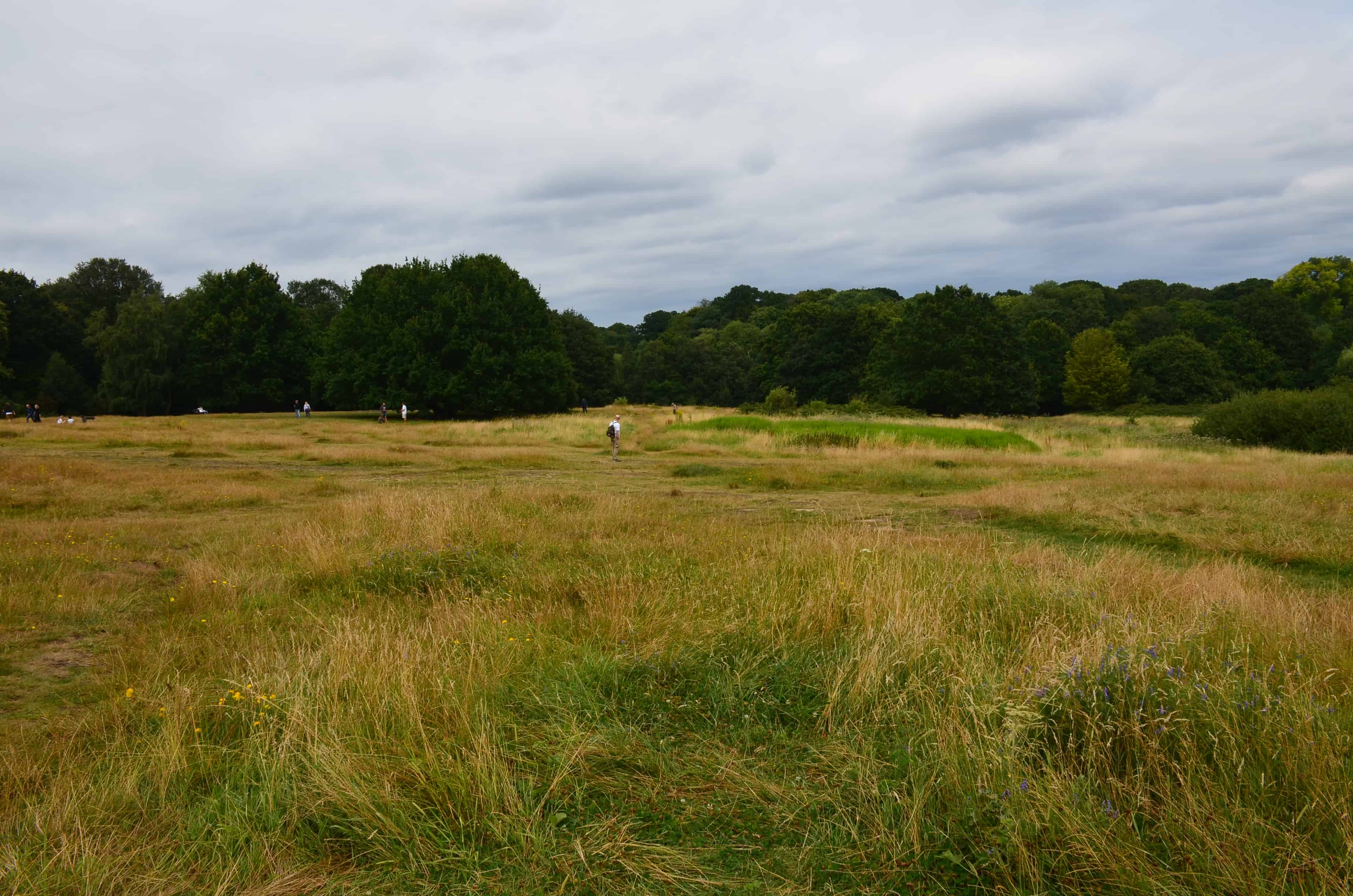 Hampstead Heath