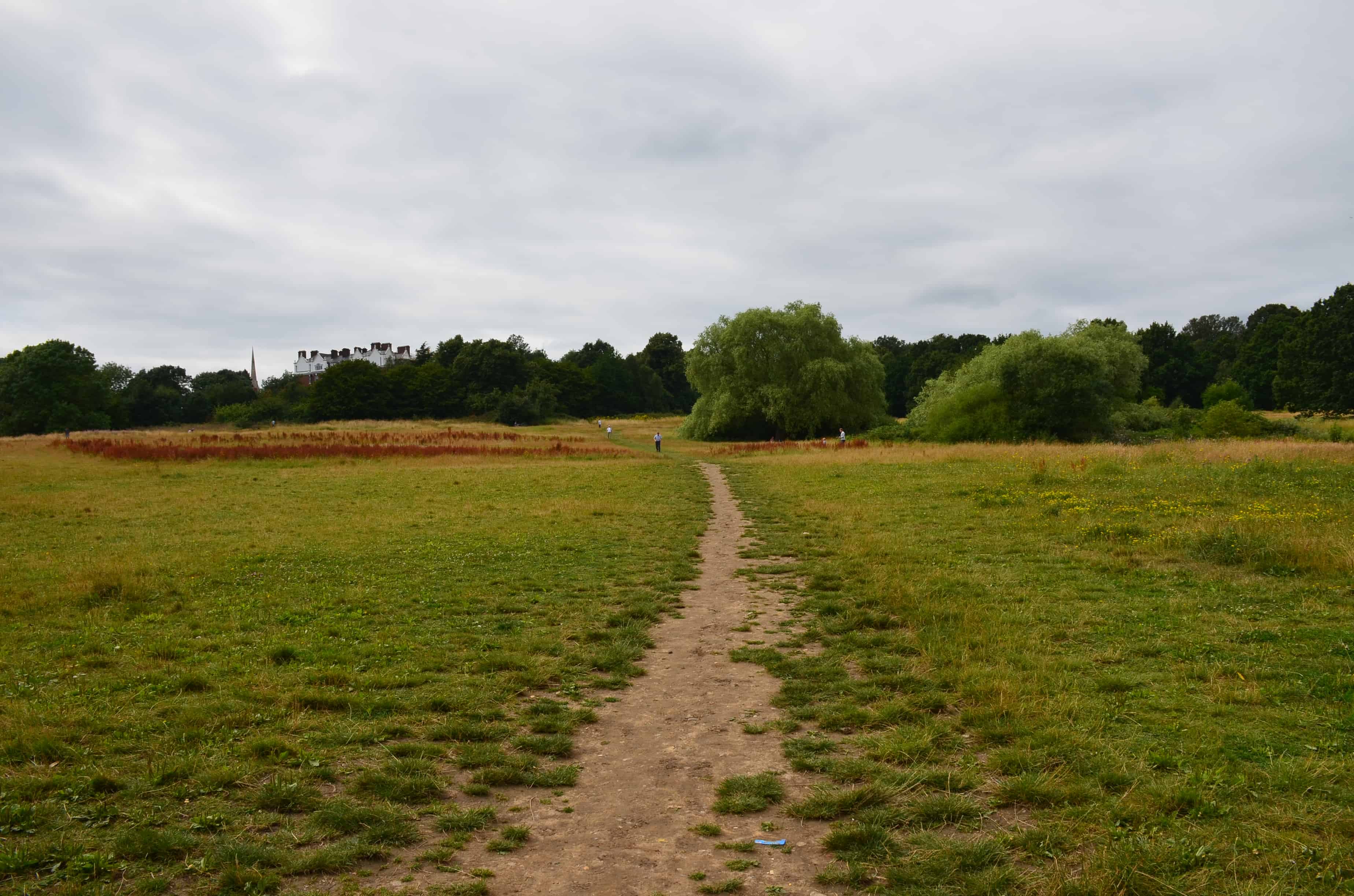 Hampstead Heath