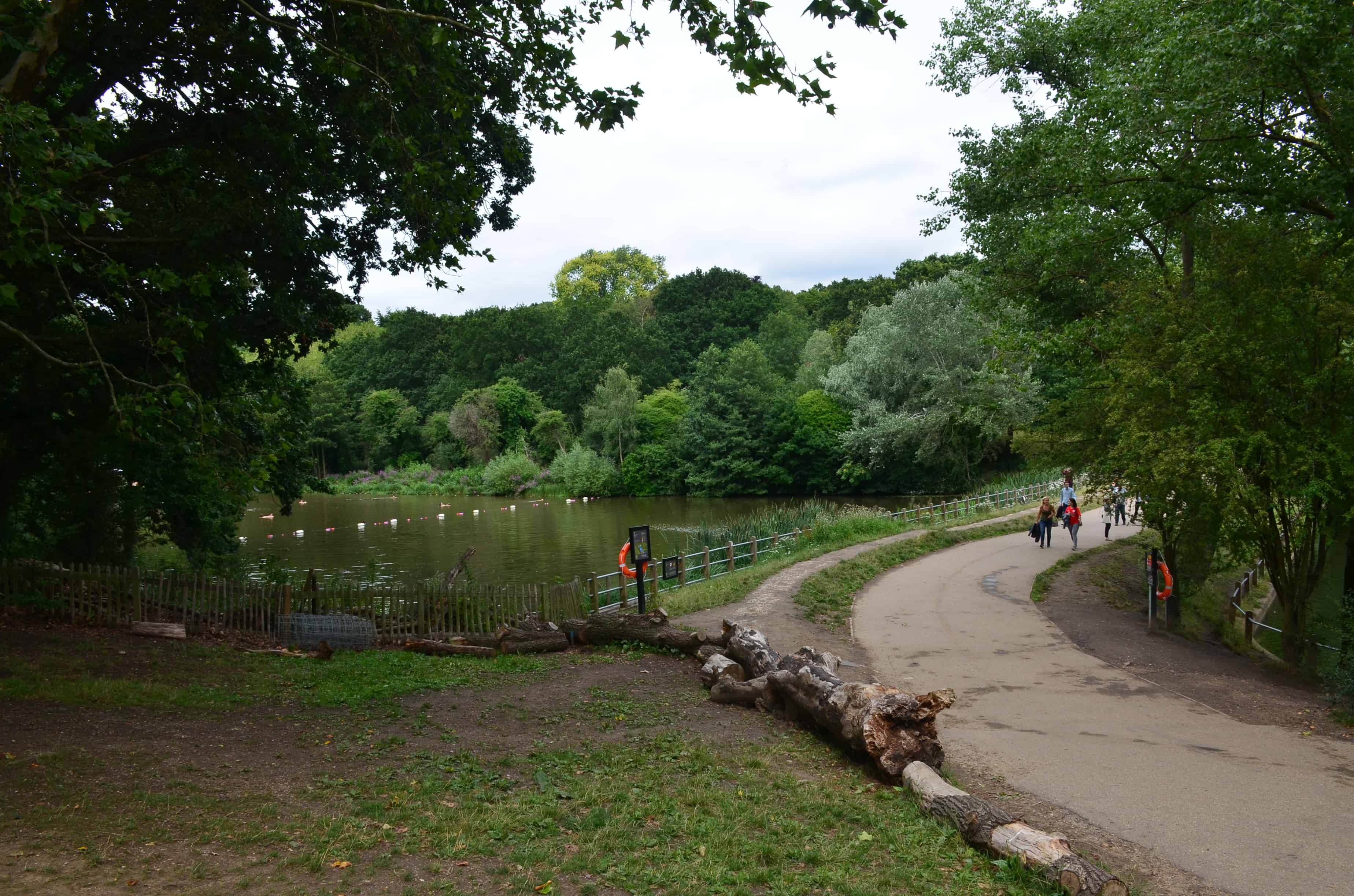 Approaching the Hampstead Ponds