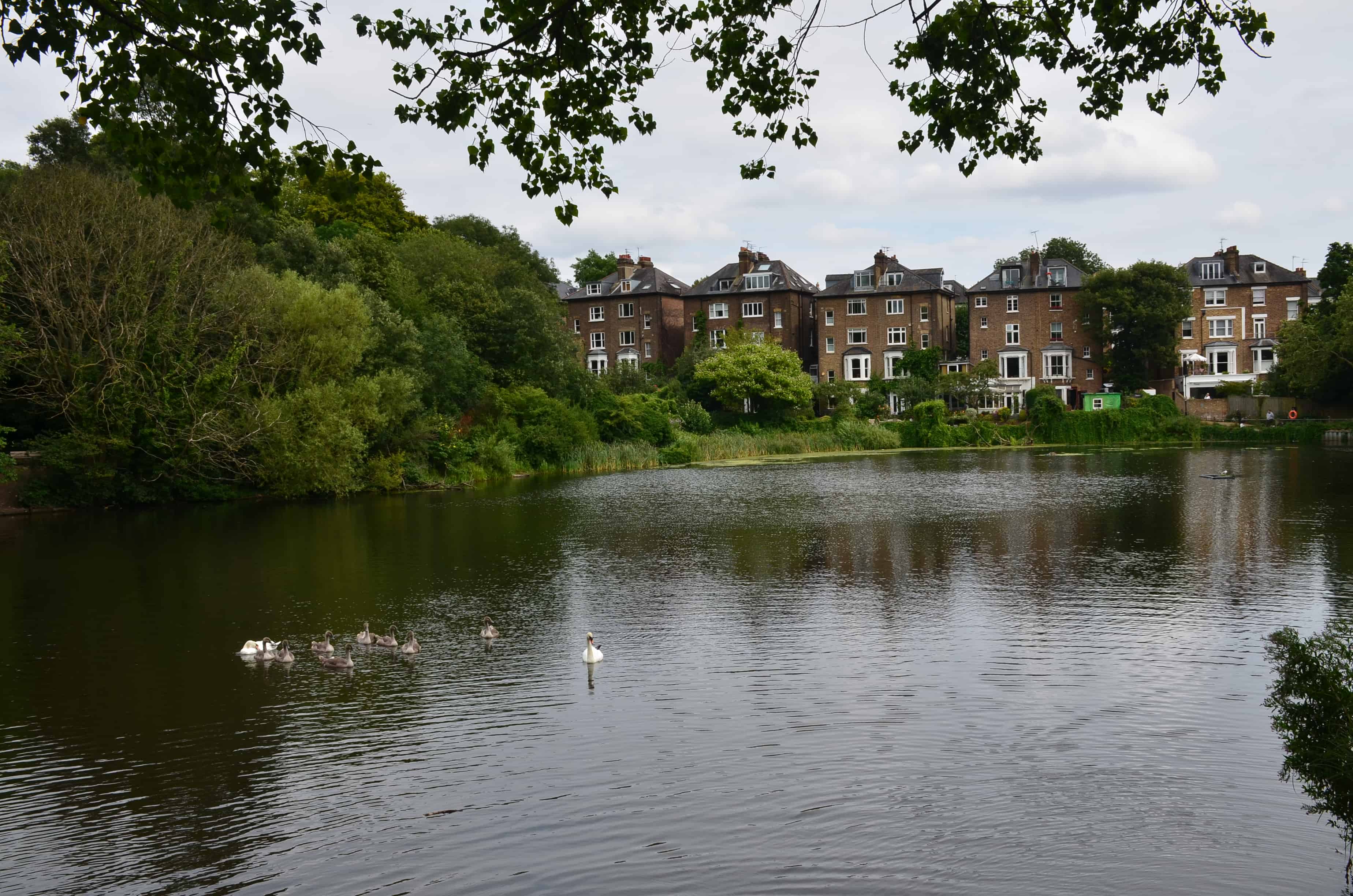 Hampstead No. 2 Pond