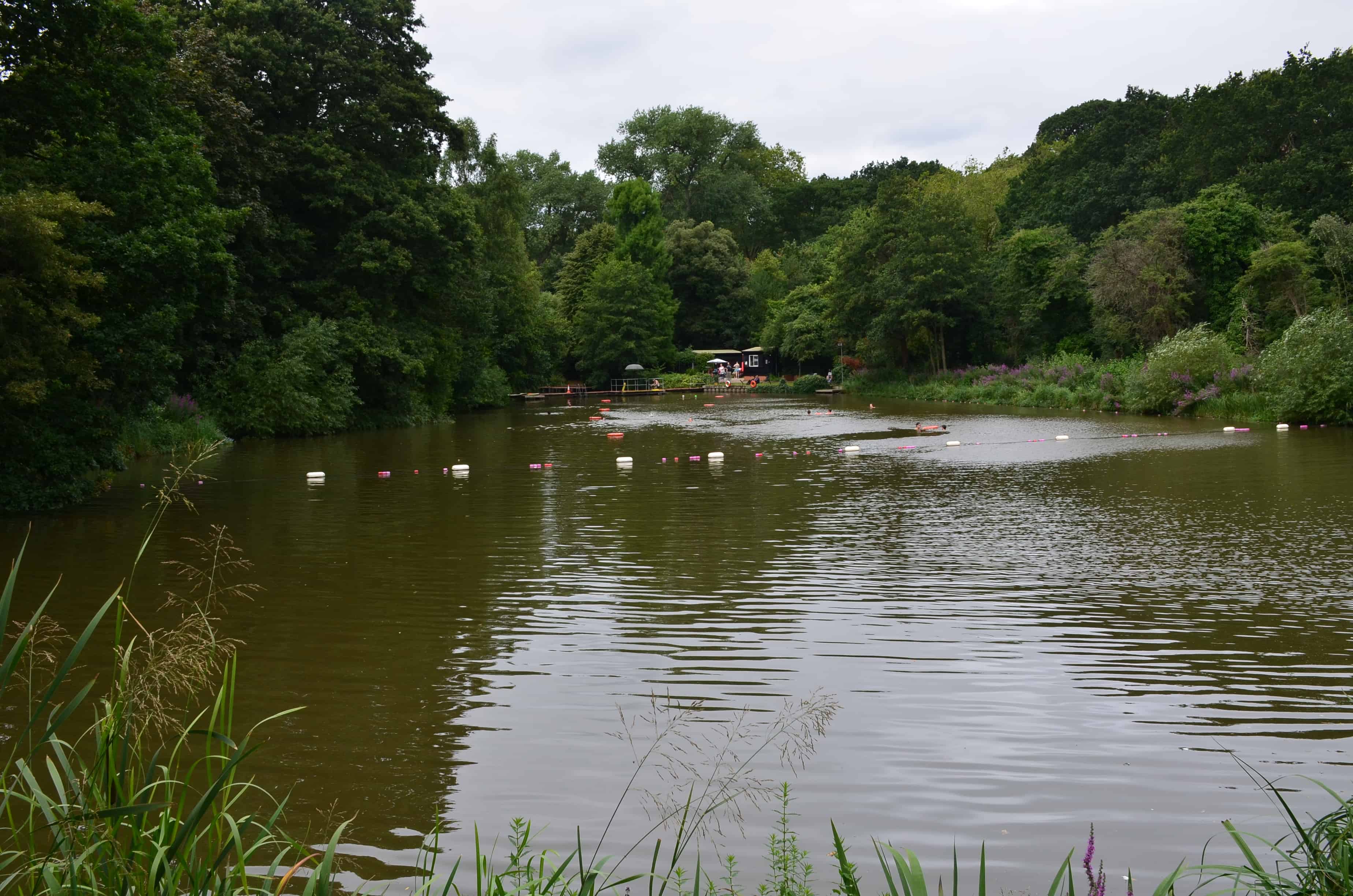 Mixed Pond at Hampstead Heath in London, England