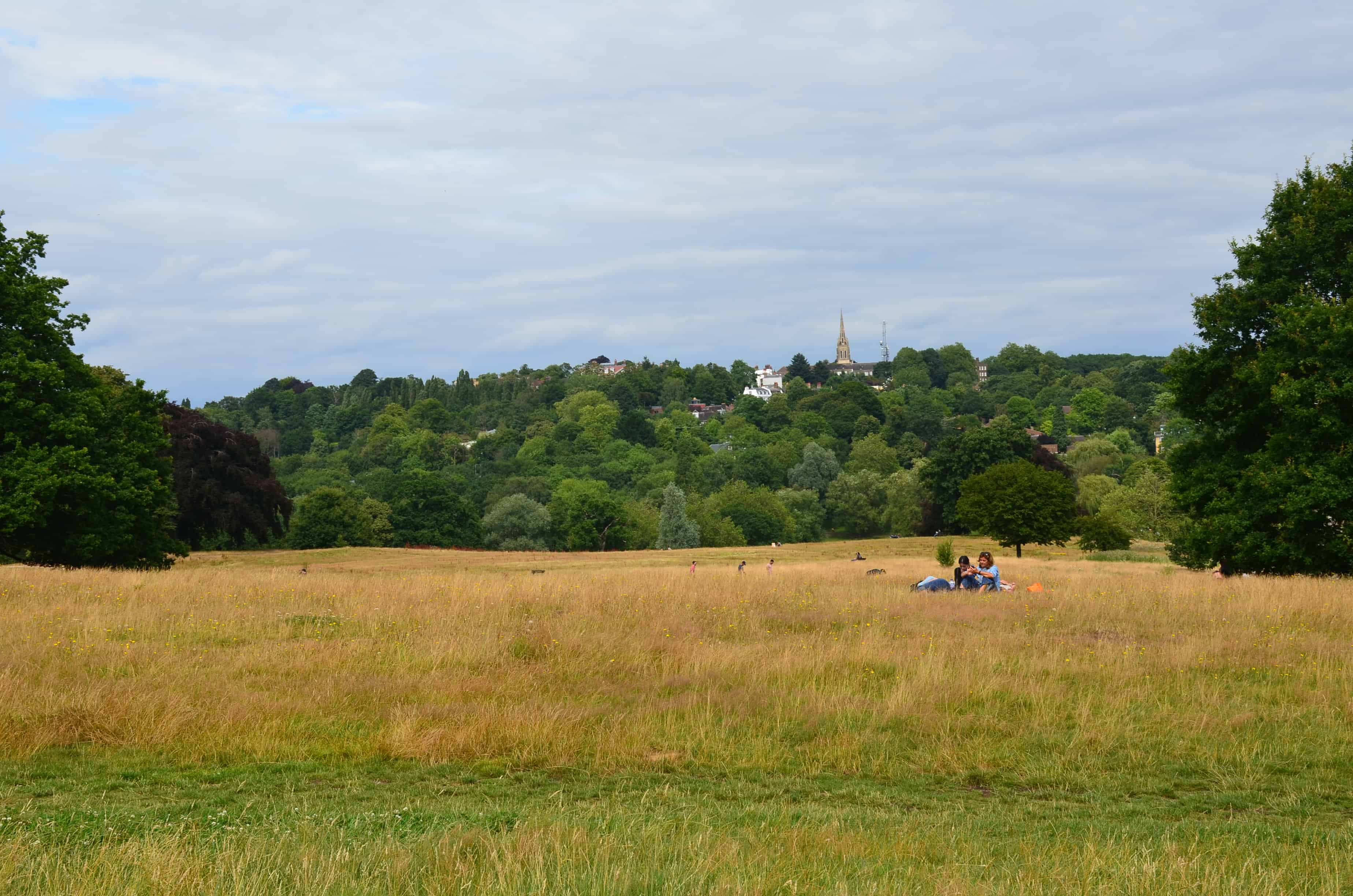 Hampstead Heath