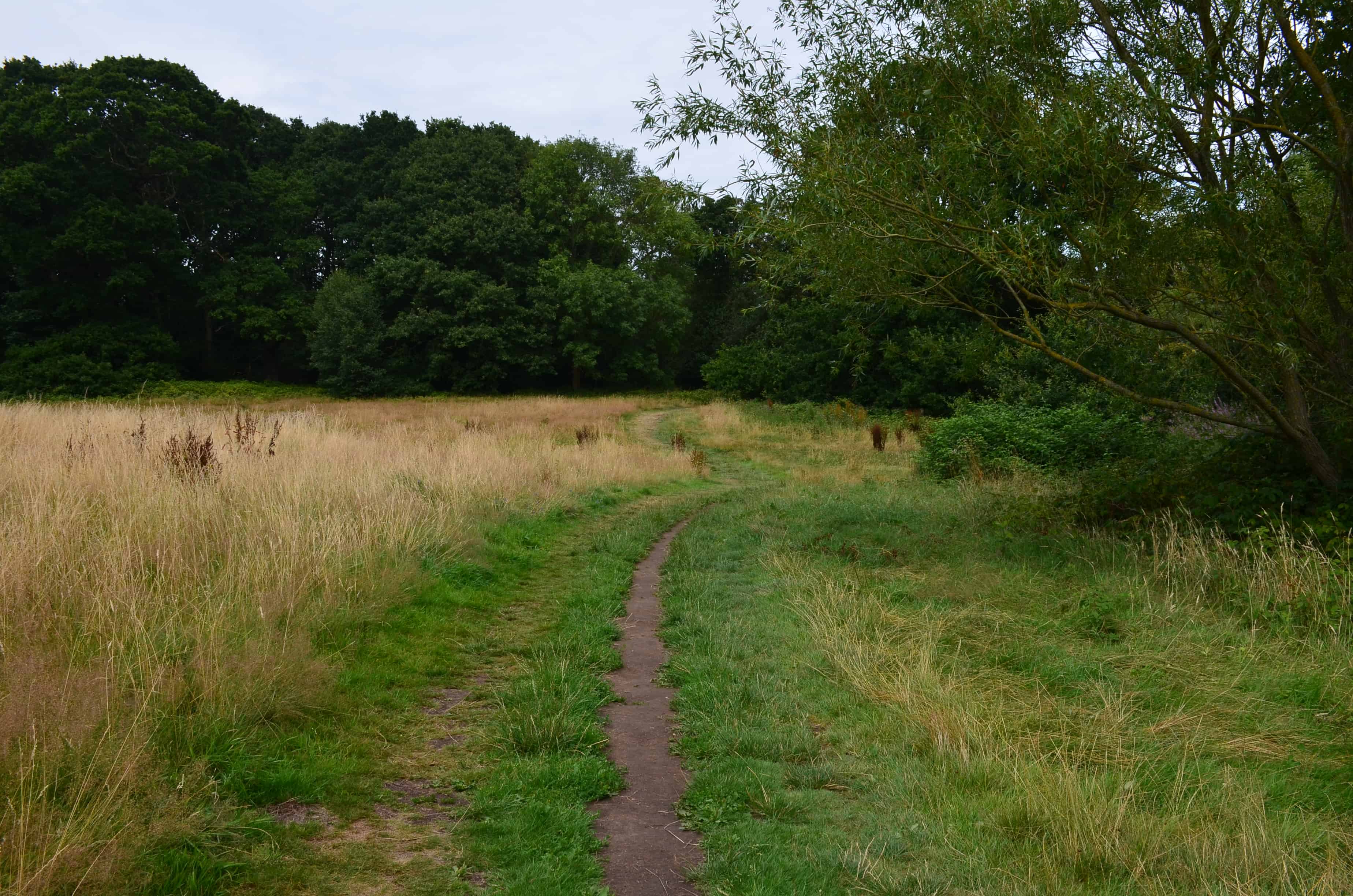 Hampstead Heath