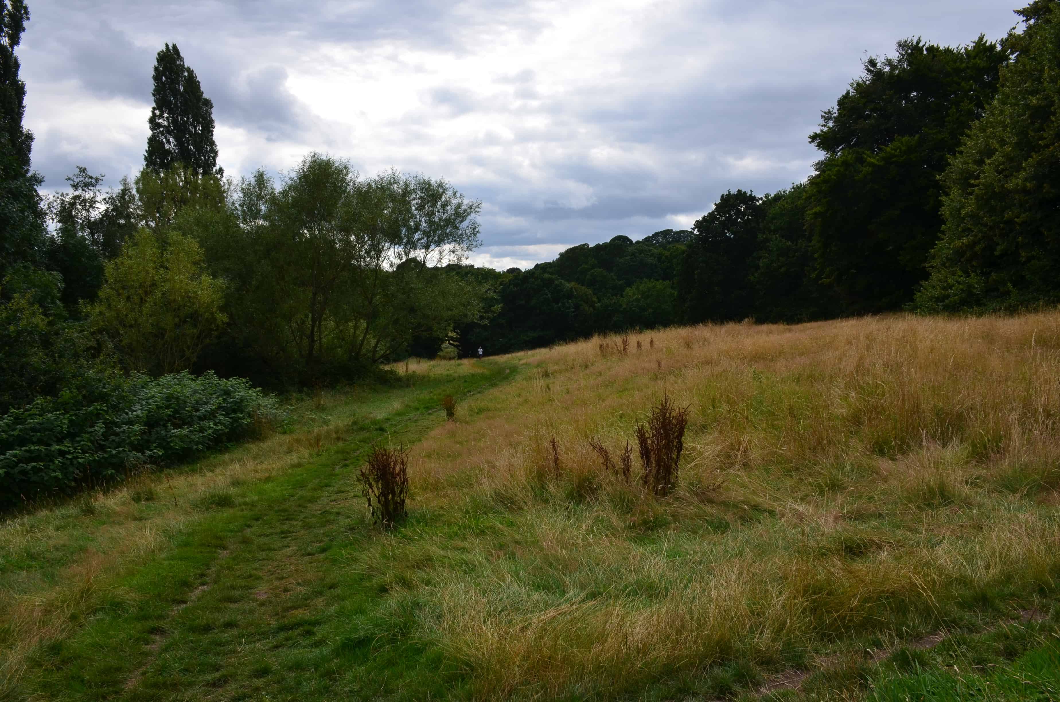 Hampstead Heath