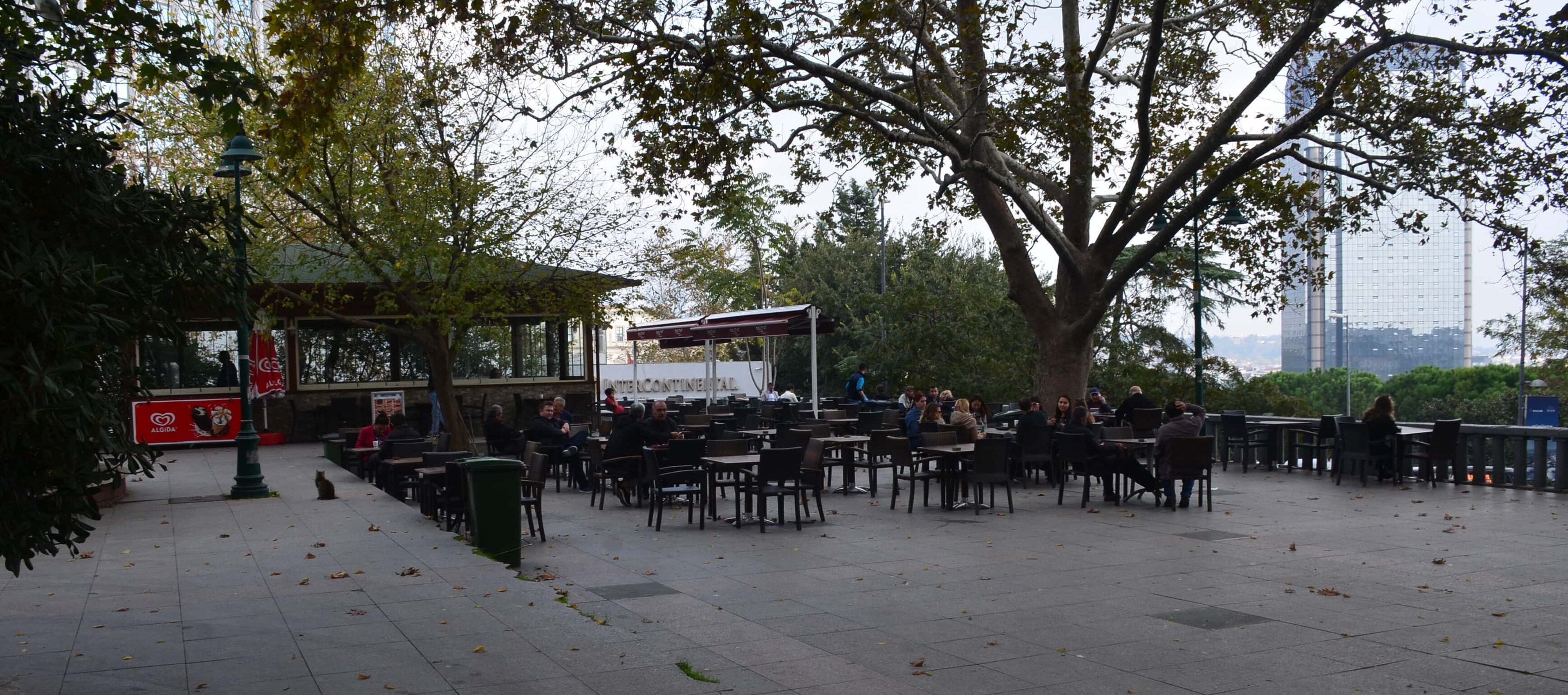 Tea garden at Gezi Park