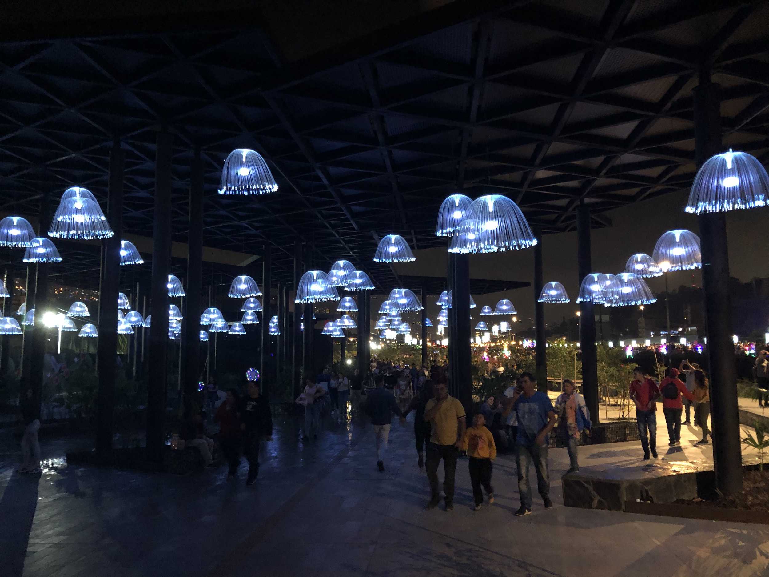 Some of the lights on display at the park at Medellín River Parks in Medellín, Antioquia, Colombia