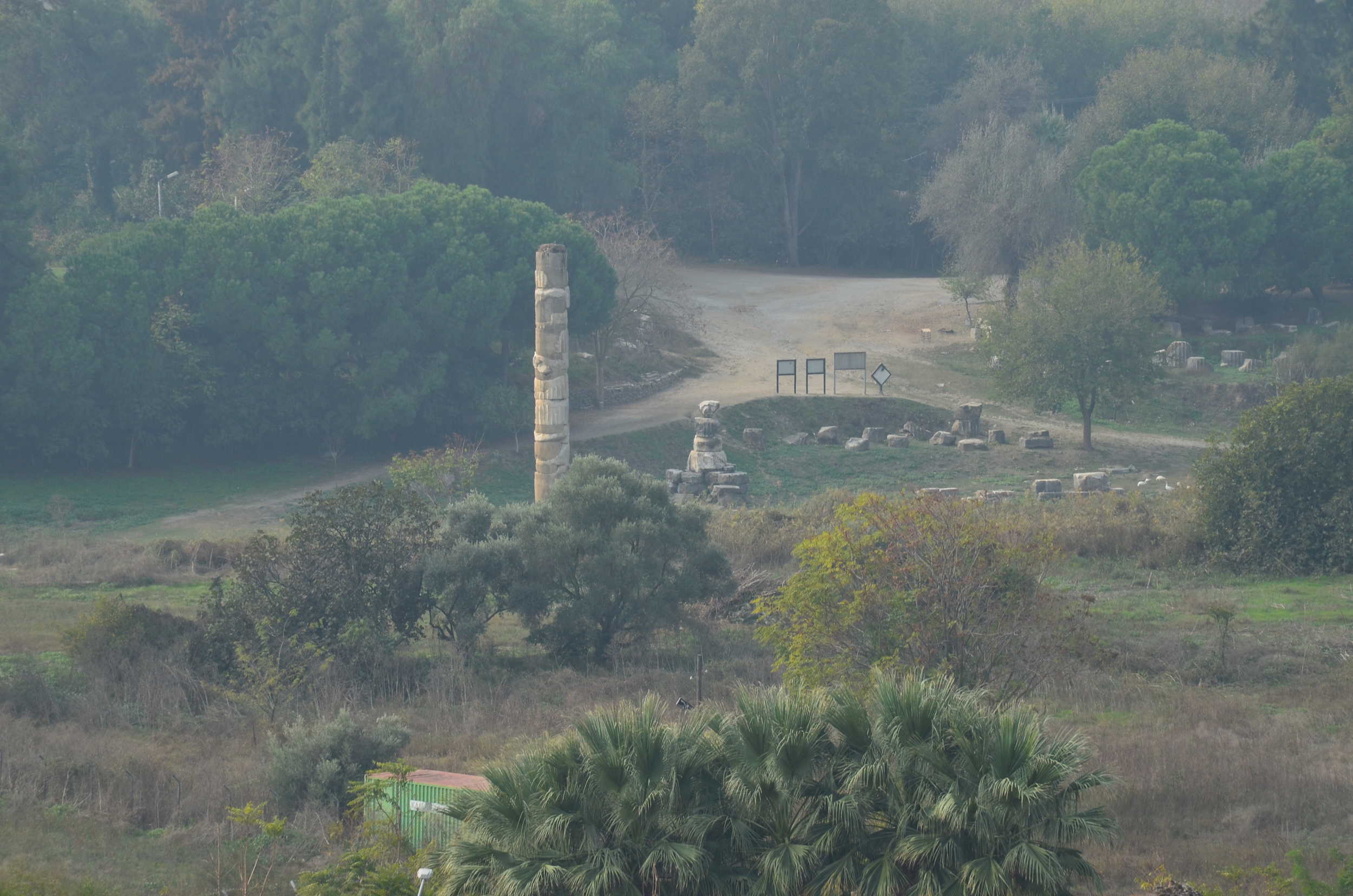Temple of Artemis from the Basilica of St. John
