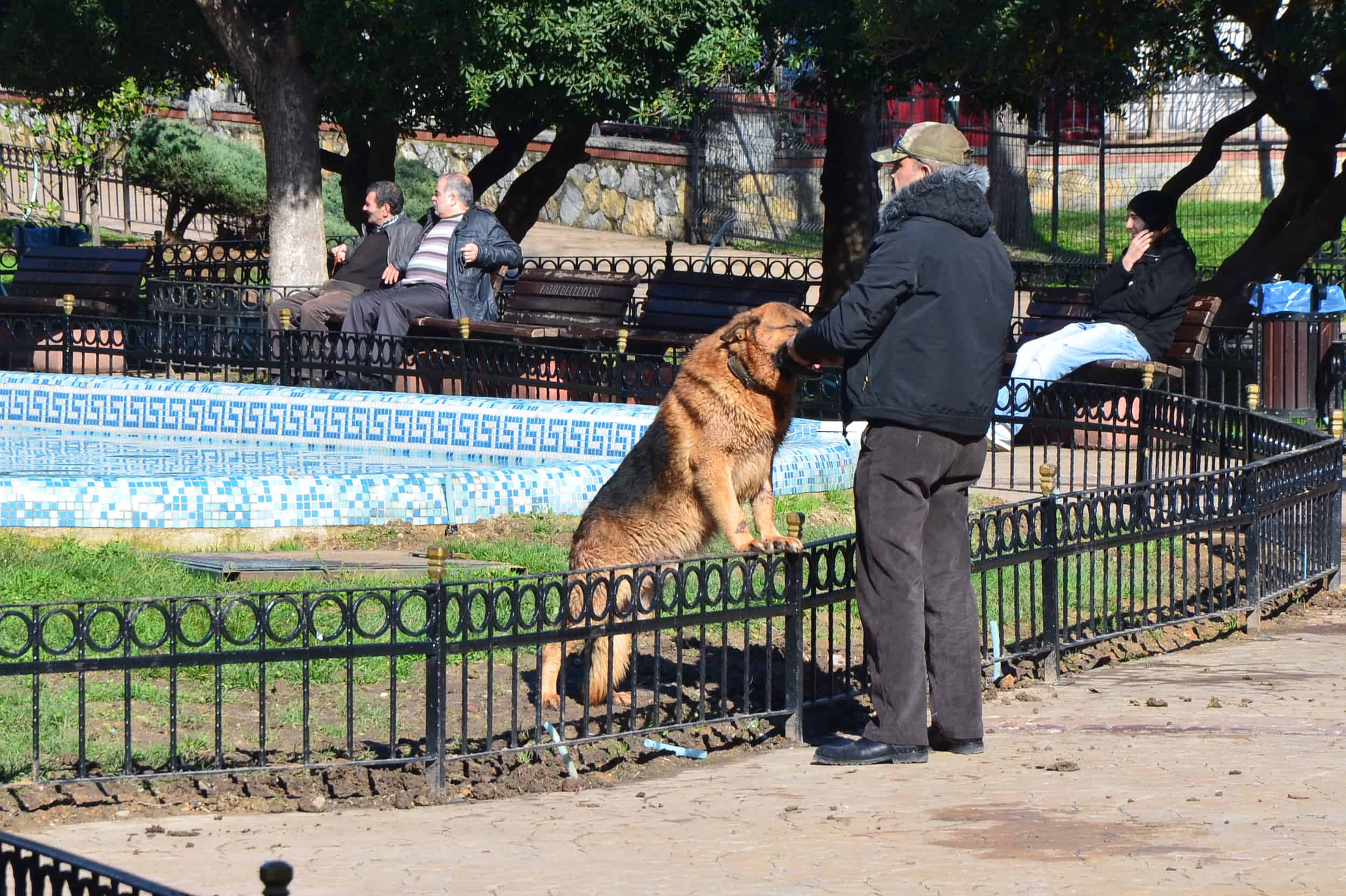 Man playing with his dog in Kadırga Park in Kadırga, Istanbul, Turkey