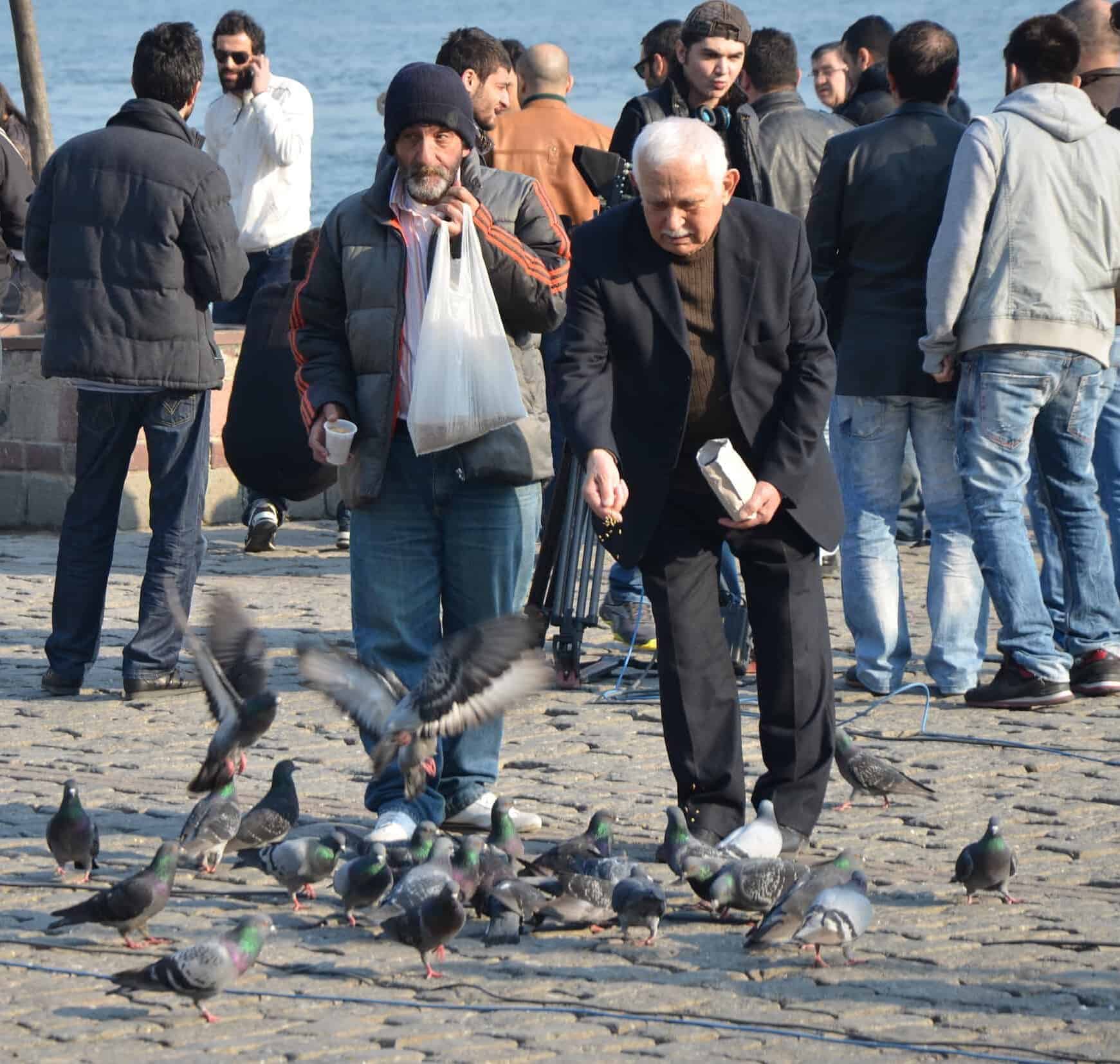 Men feeding pigeons at Ortaköy Square