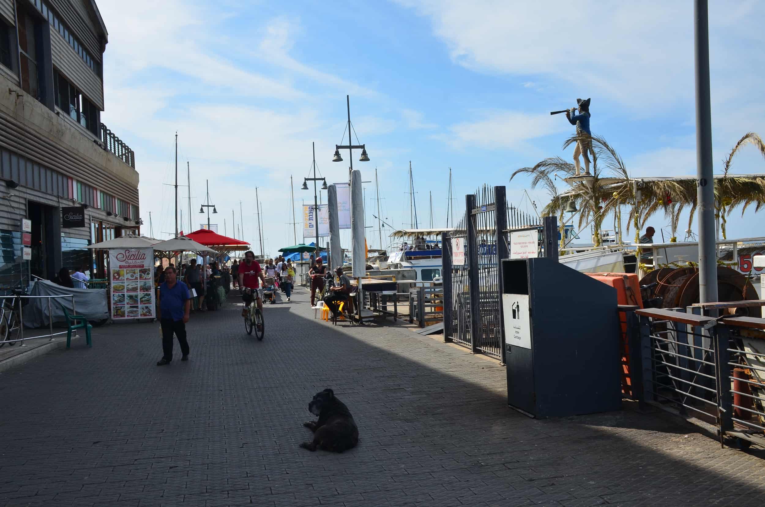 Walking through Jaffa Port in Jaffa, Tel Aviv, Israel