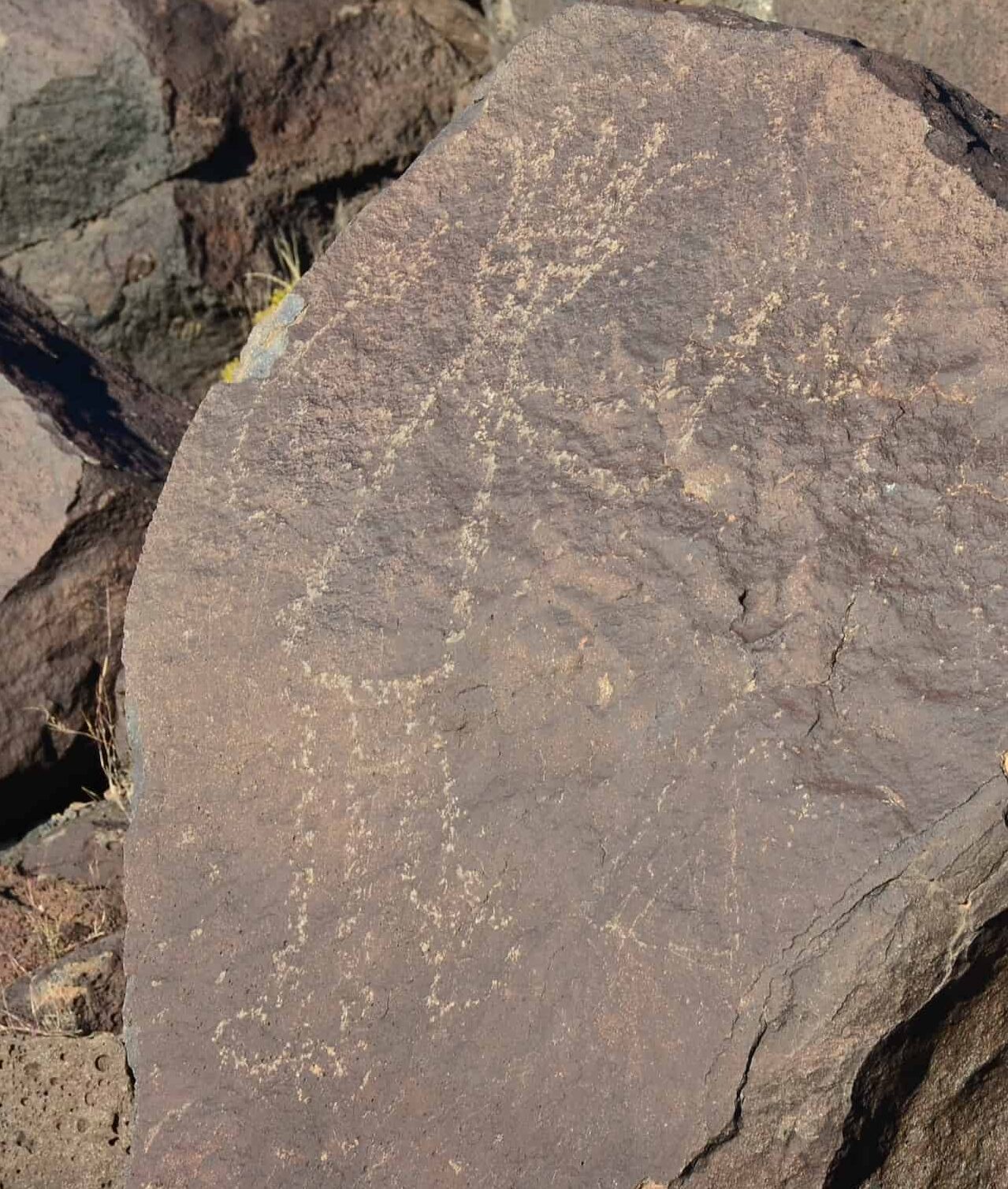 Petroglyph along Mesa Point Trail