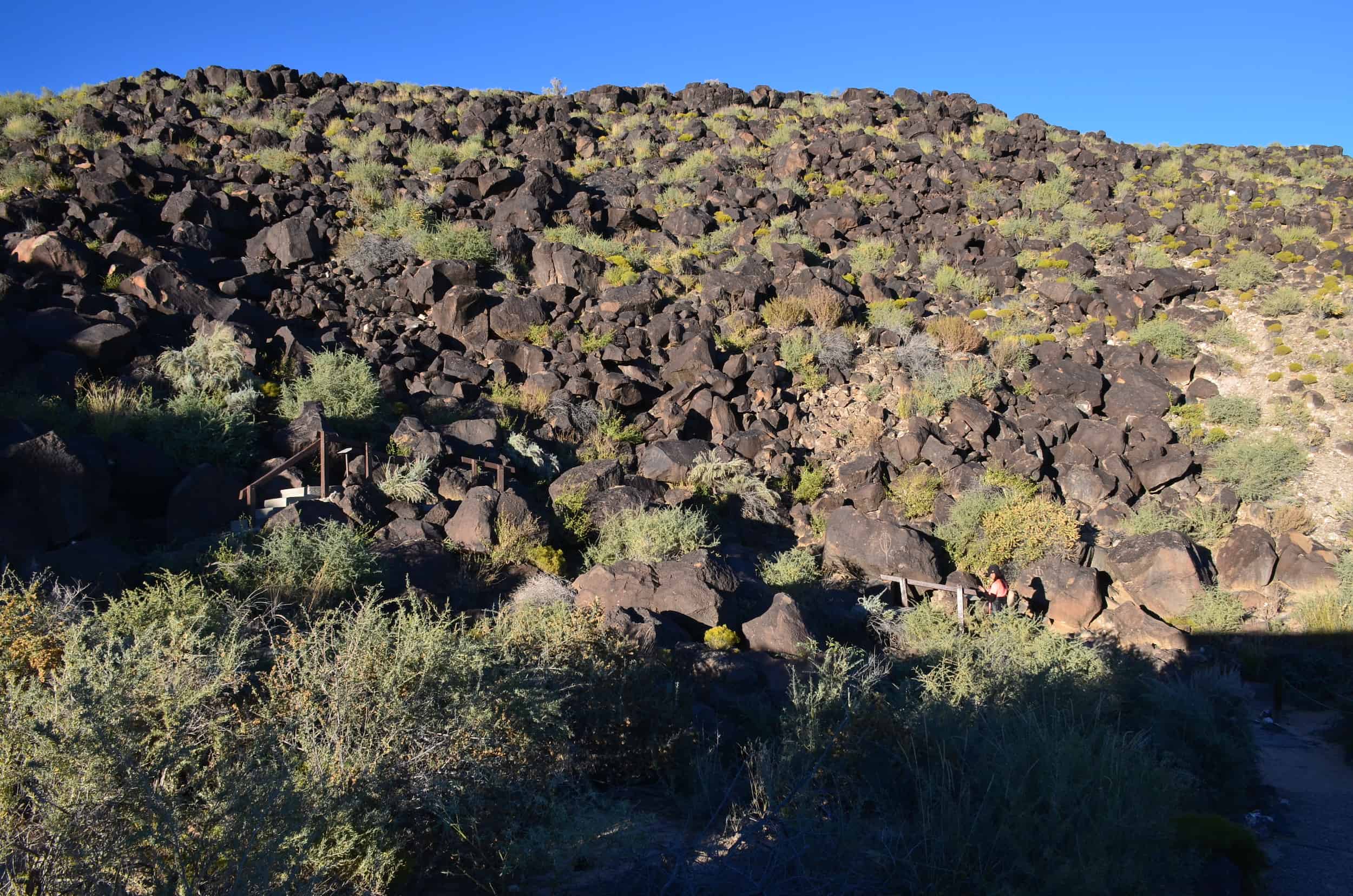 Macaw Trail at Boca Negra Canyon, Petroglyph National Monument in Albuquerque, New Mexico