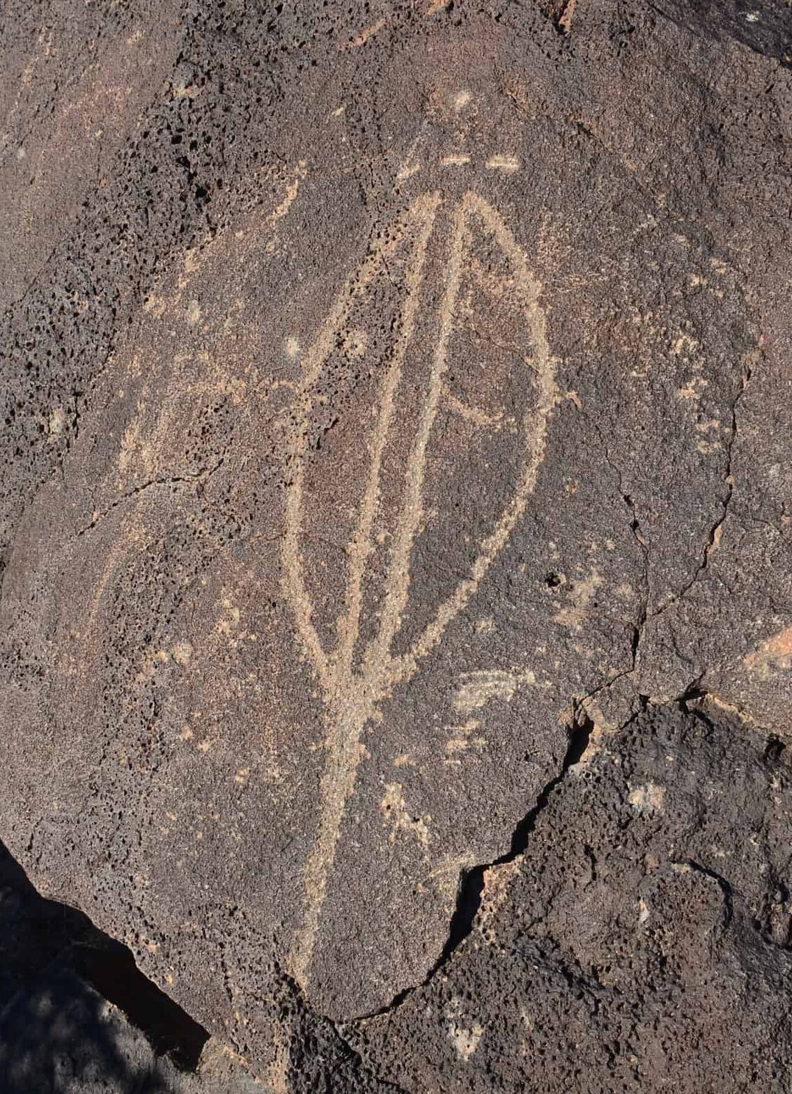 Petroglyph along the Macaw Trail