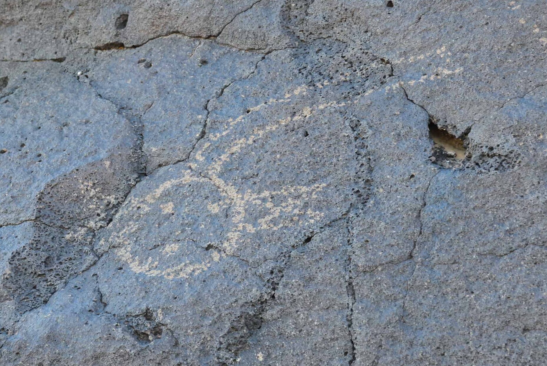 Petroglyph along Cliff Base Trail