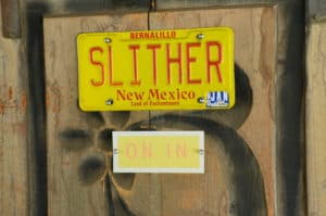 License plate at the American International Rattlesnake Museum in Albuquerque, New Mexico