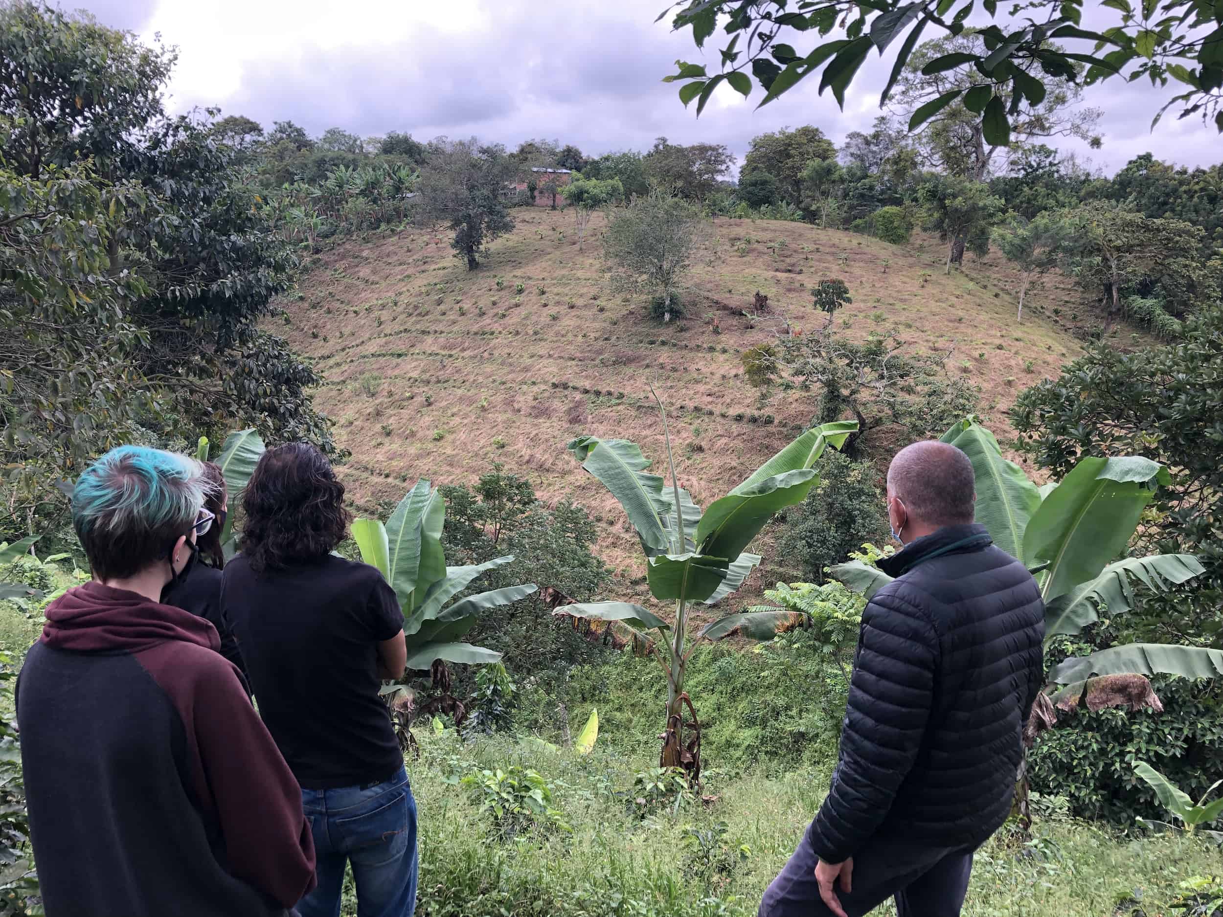 Jesús showing us a plot of his land on the Café Jesús Martín Coffee Tour in Colombia