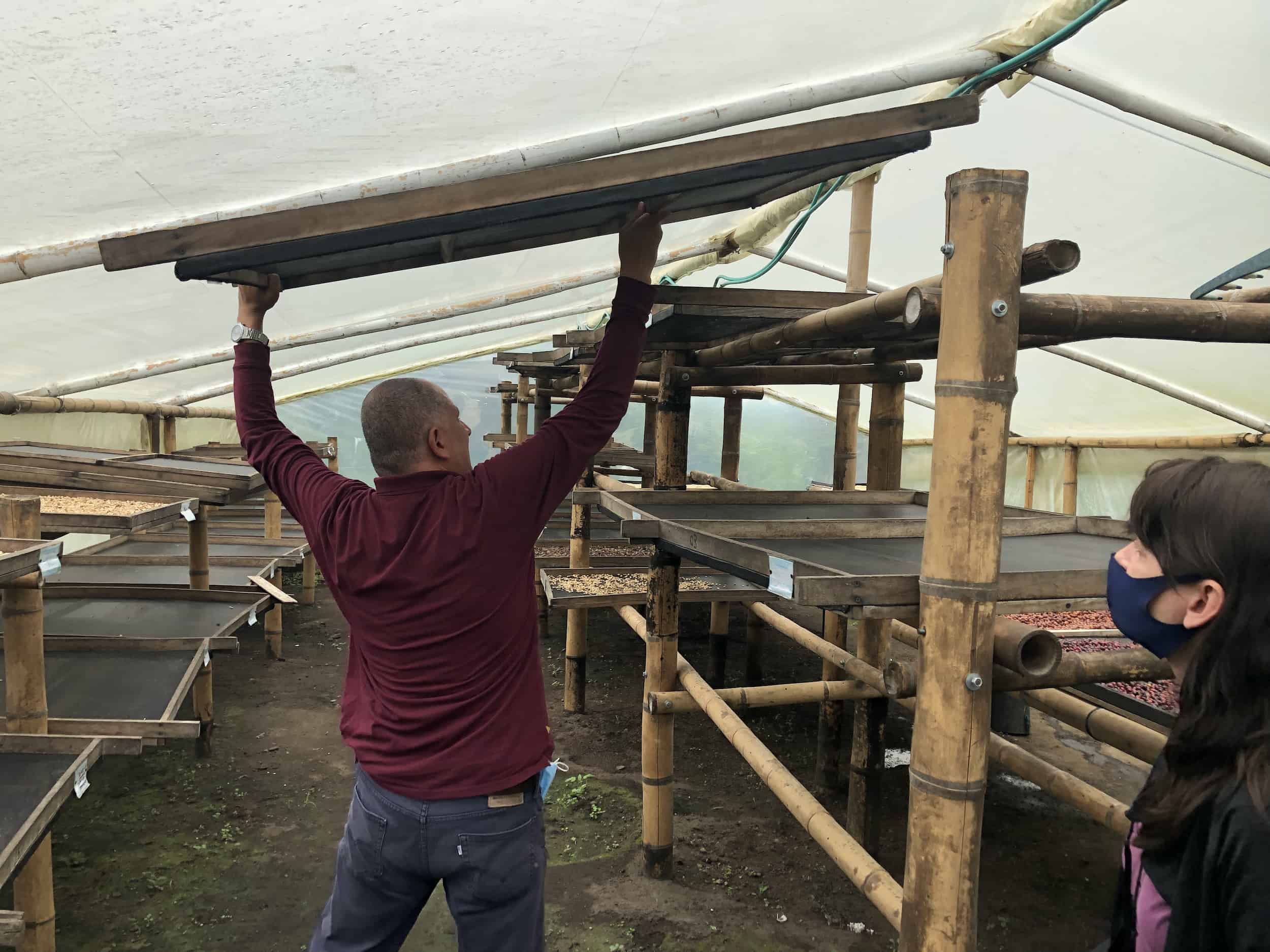 Jesús lowering a drying rack on the Café Jesús Martín Coffee Tour in Colombia