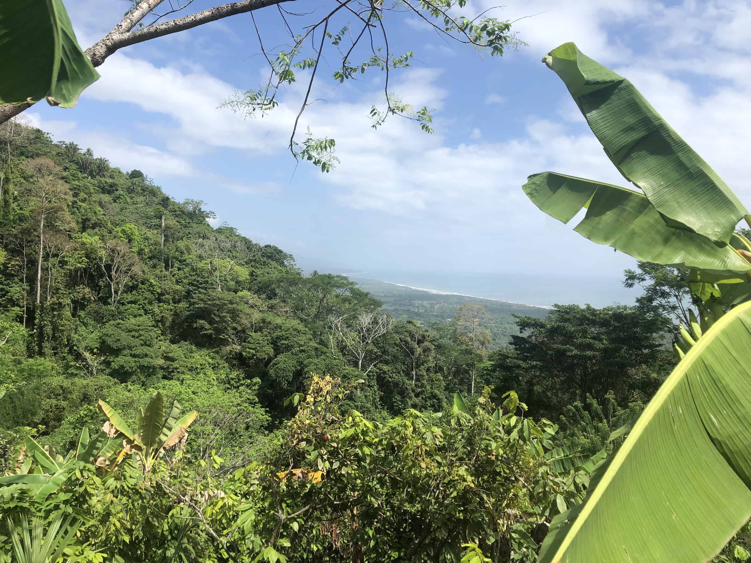 View along the hike on the cacao tour near Buritaca, Colombia