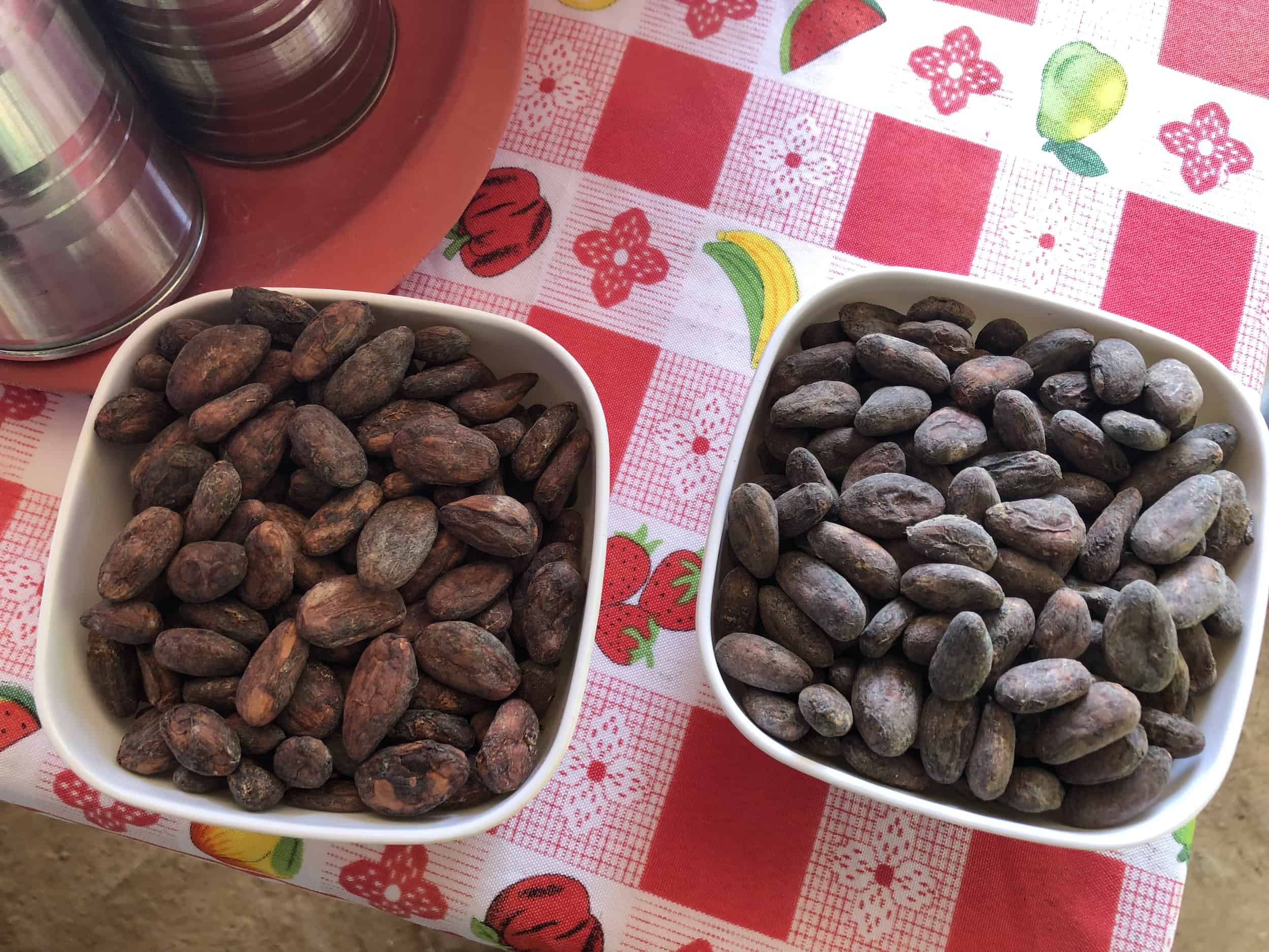 Different types of cacao beans on the cacao tour near Buritaca, Colombia