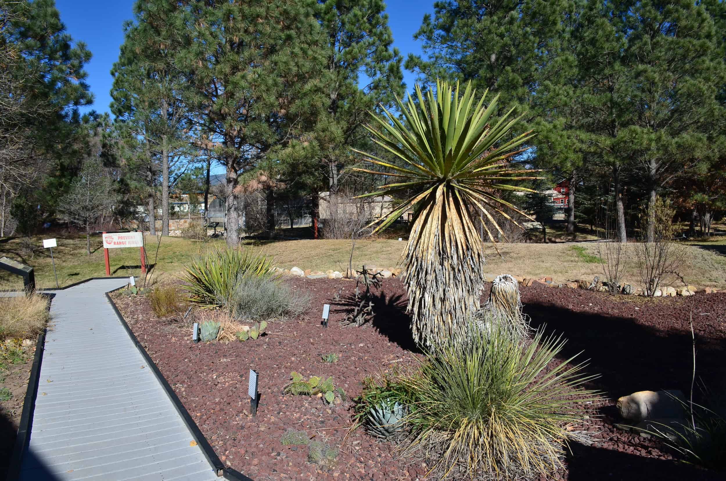 Memorial park at Smokey Bear Historical Park in Capitan, New Mexico