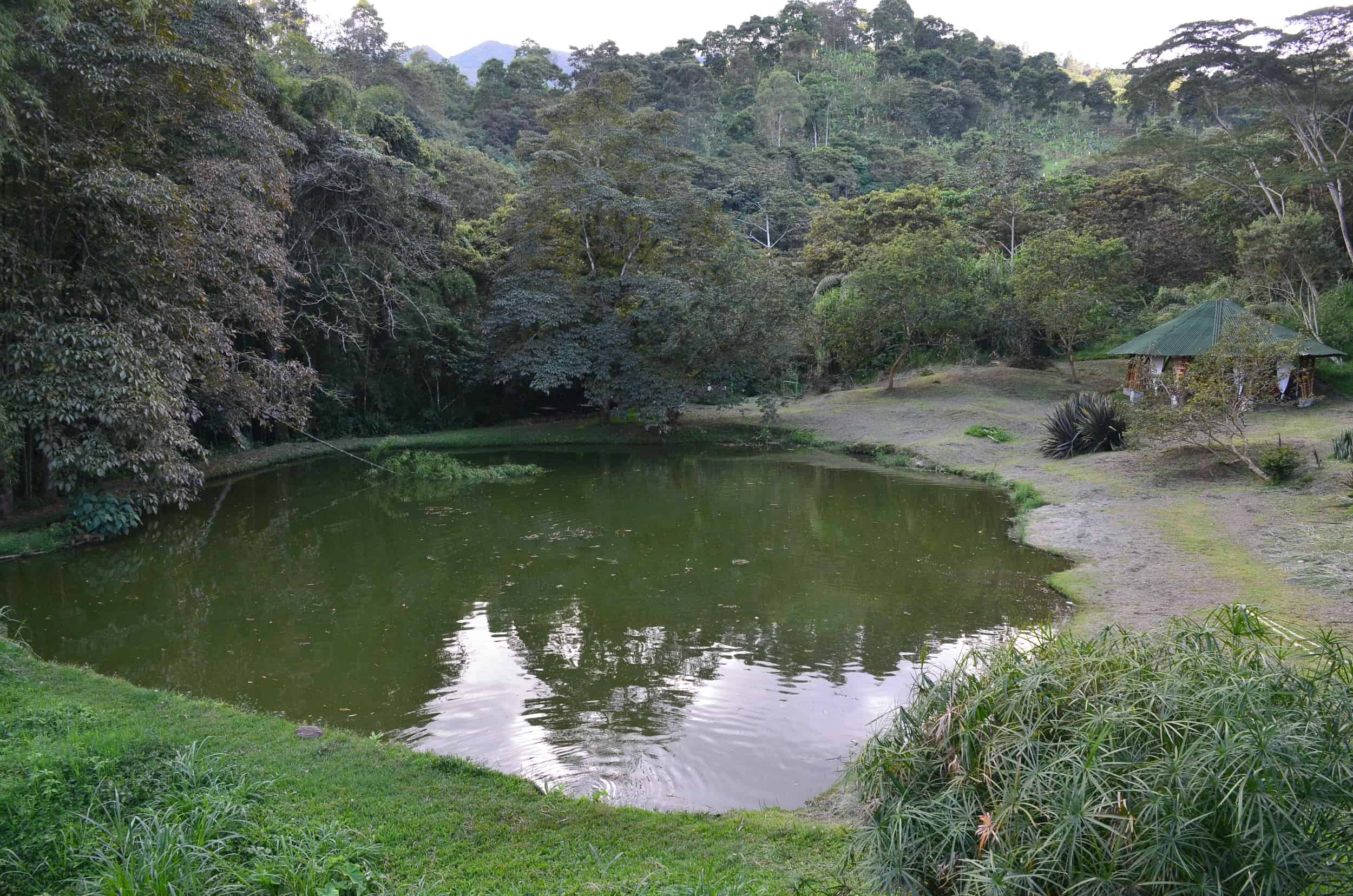 Pond at Soñarte
