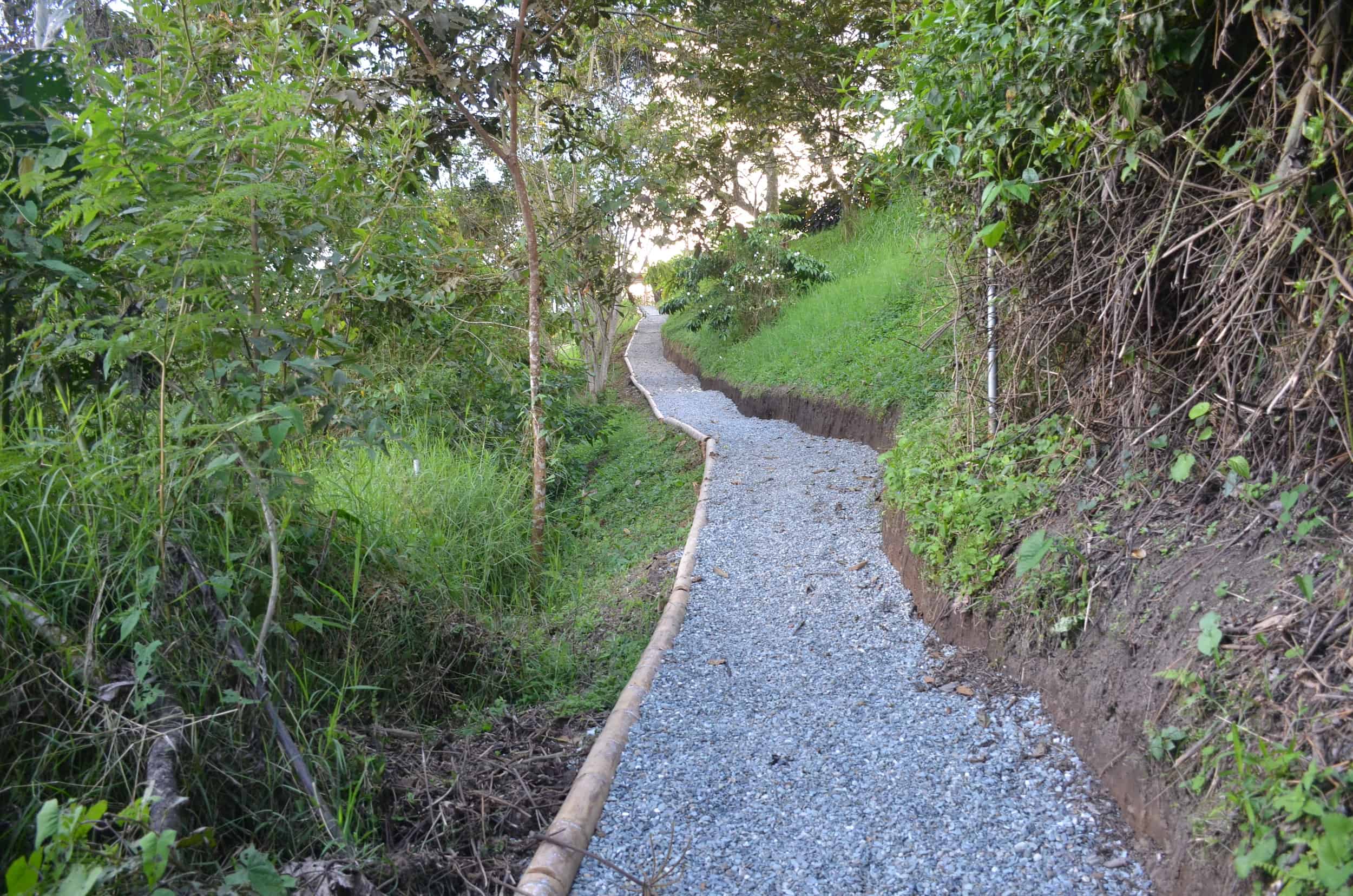 Trail up to the café at Soñarte in Córdoba, Quindío, Colombia