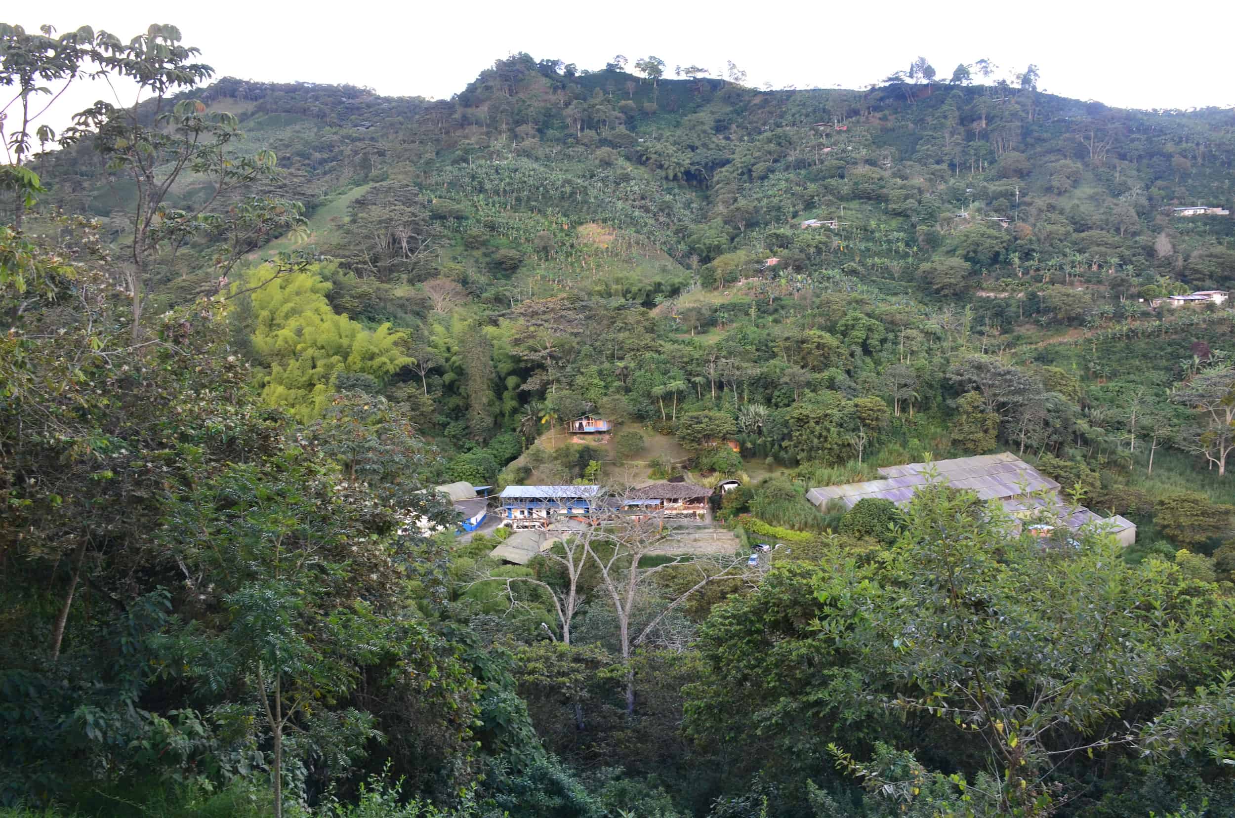 Soñarte in Córdoba, Quindío, Colombia