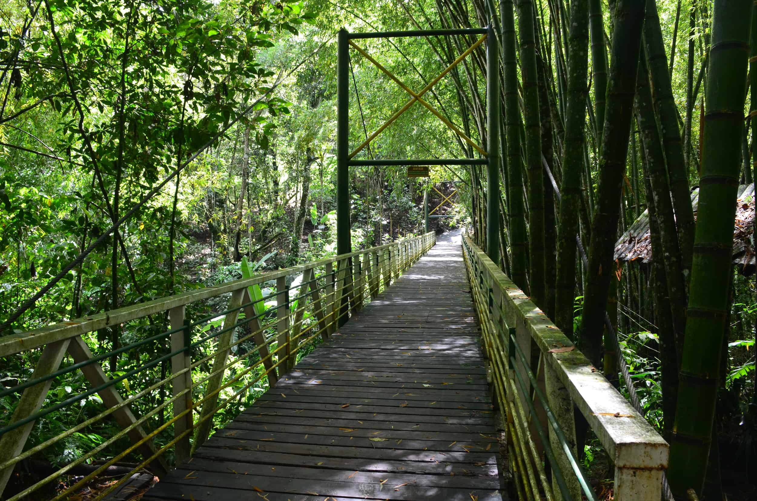 Bridge at Parque de la Vida in Armenia, Quindío, Colombia