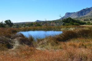Manzanita Spring on Smith Spring Trail in Guadalupe Mountains National Park in Texas