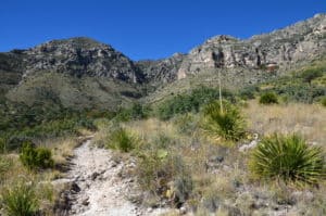 Smith Spring Trail in Guadalupe Mountains National Park in Texas