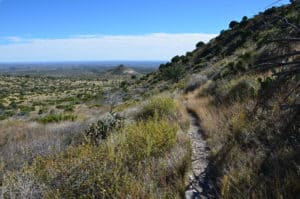 Smith Spring Trail in Guadalupe Mountains National Park in Texas