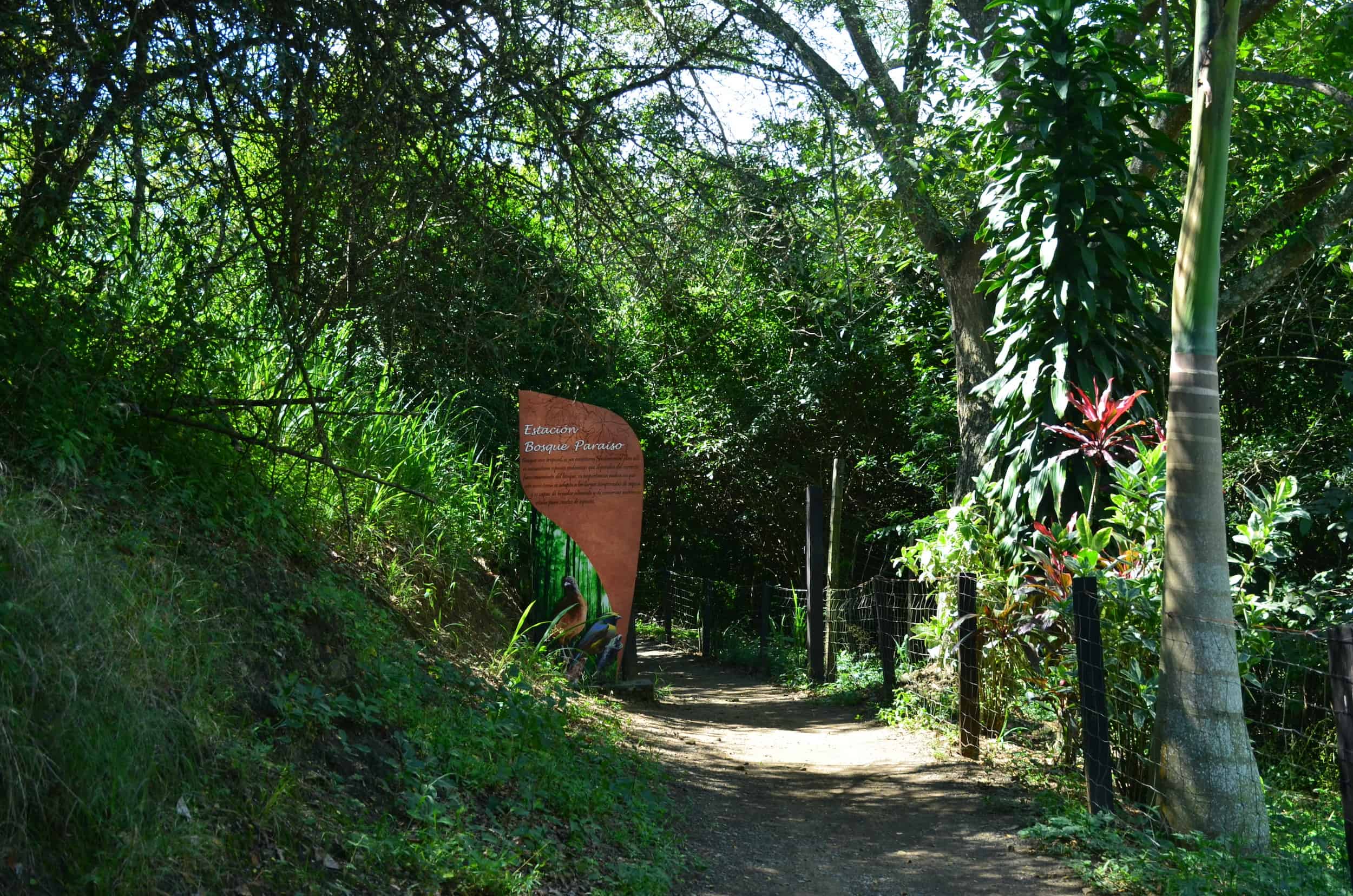 Paradise Forest and Trail at Grape National Park in La Unión, Valle del Cauca, Colombia