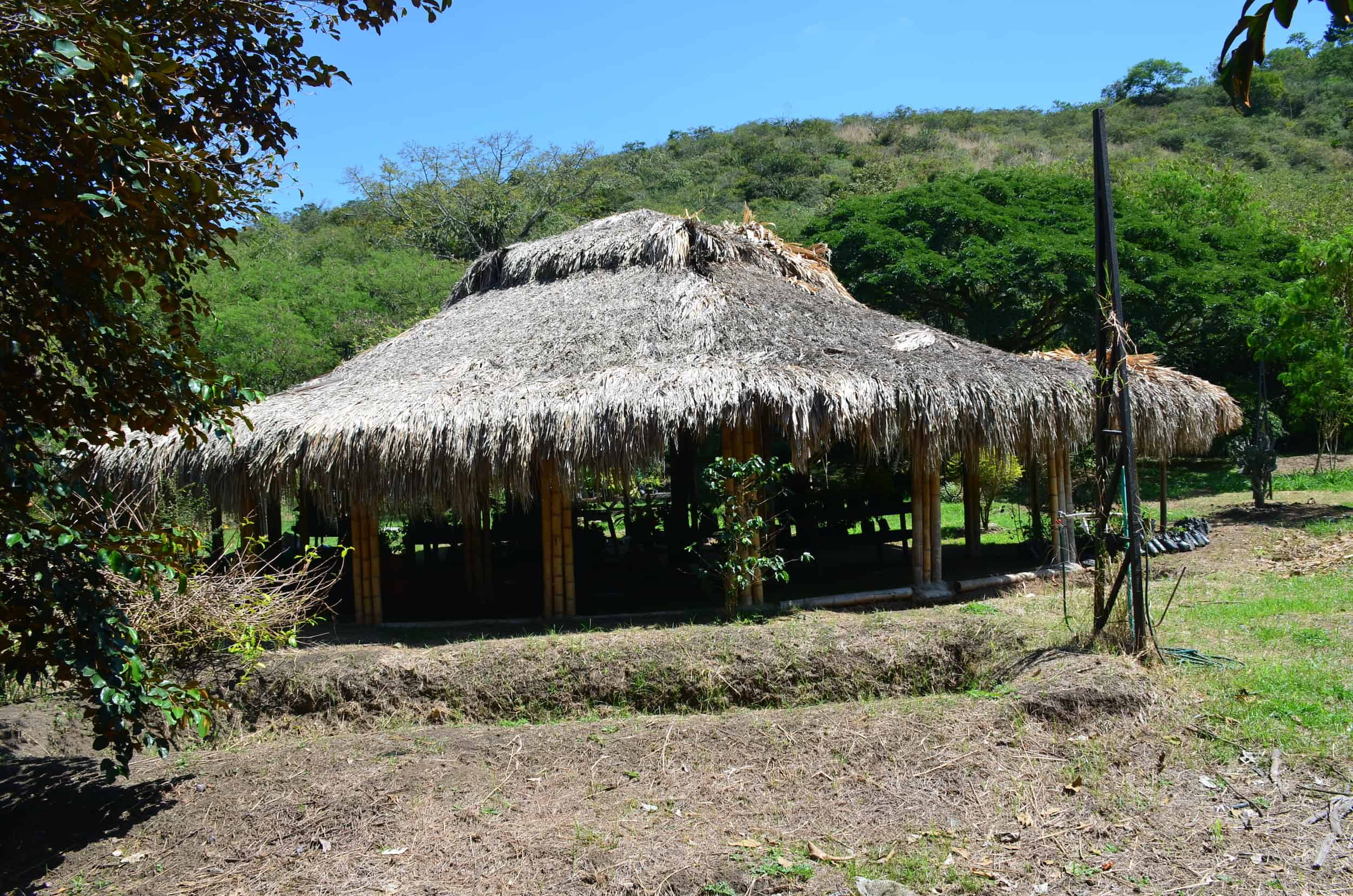 Ecological Hut