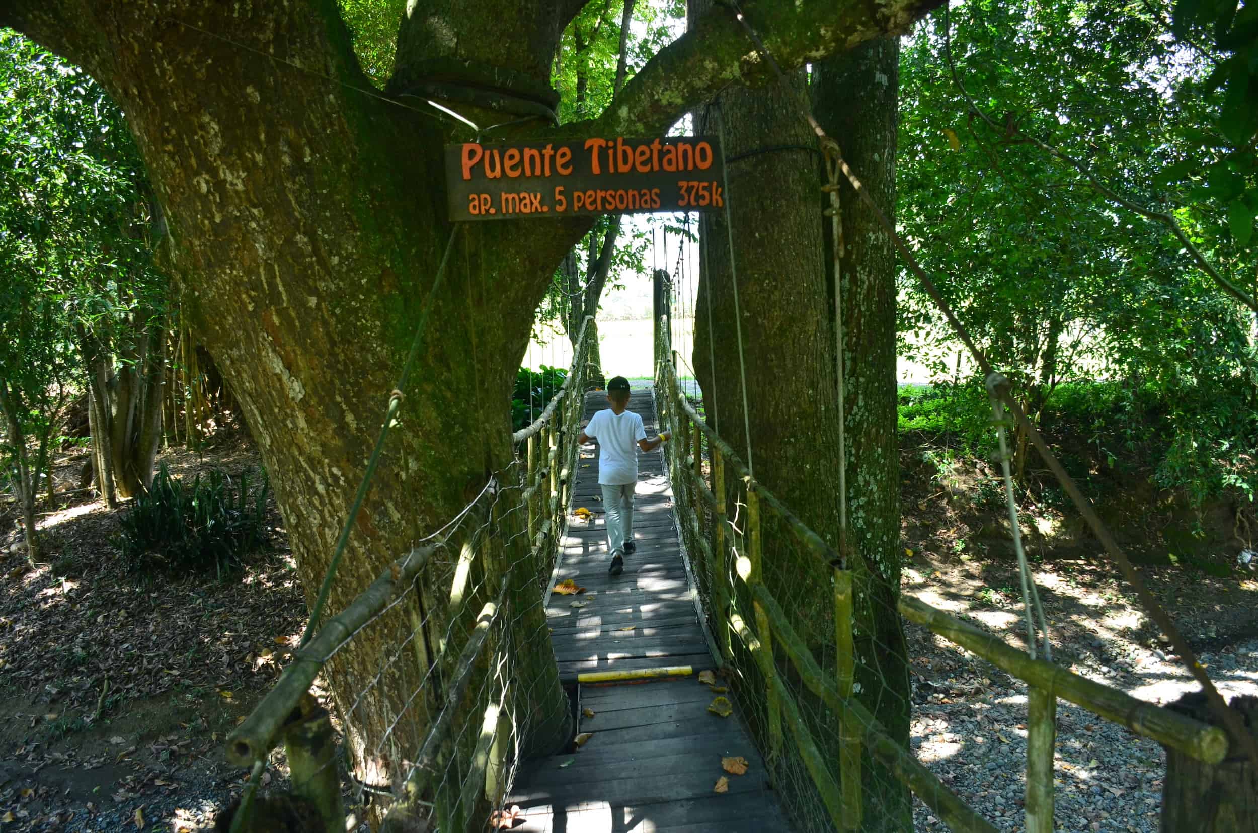 Suspension bridge at Grape National Park in La Unión, Valle del Cauca, Colombia