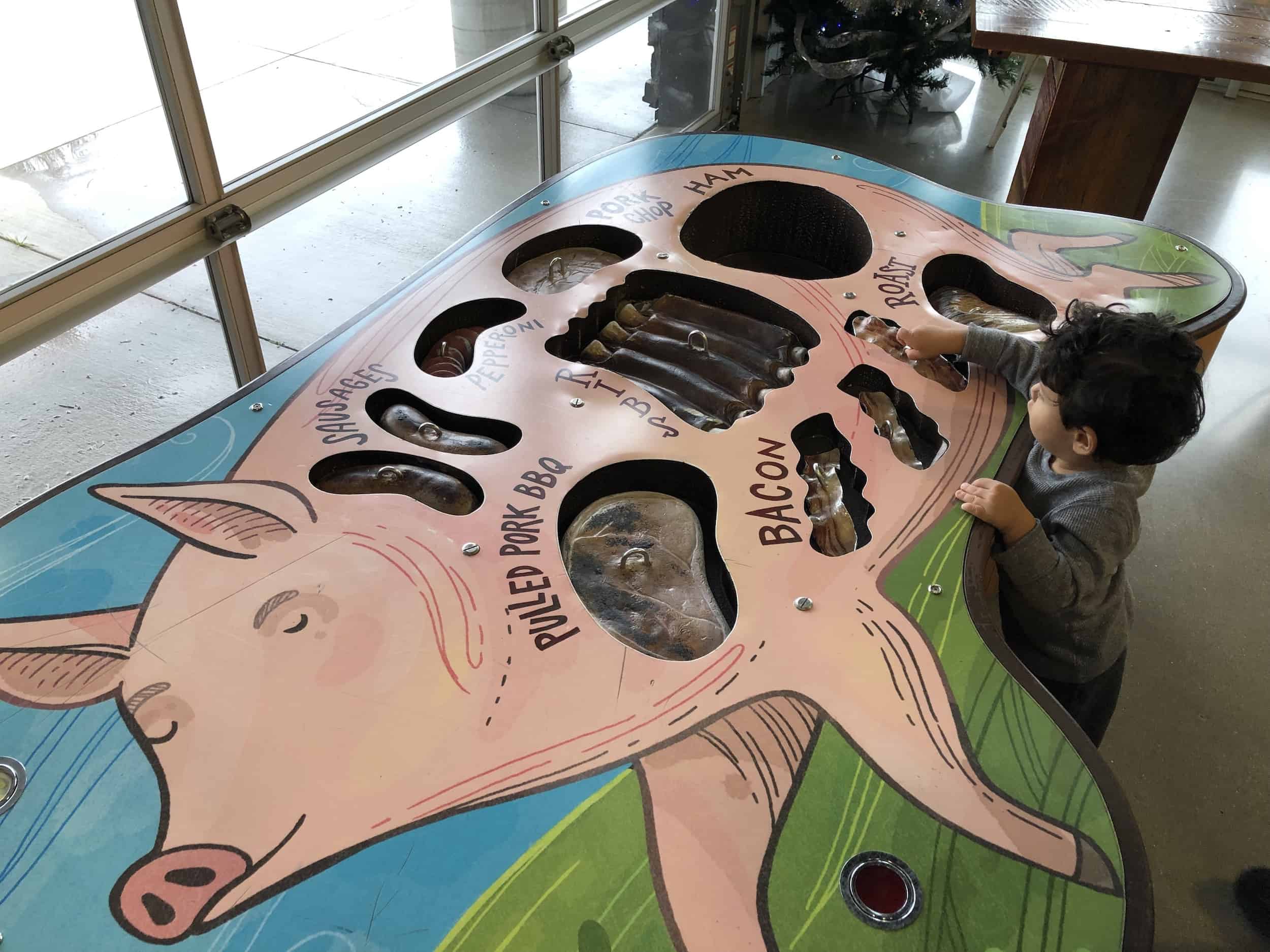 Parts of the pig at the Pork Education Center on the Pig Adventure