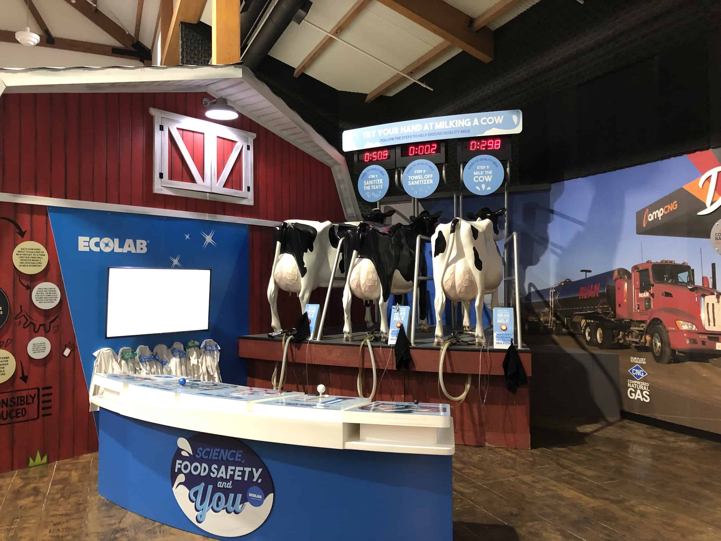 Milking station in the Dairy Adventure building