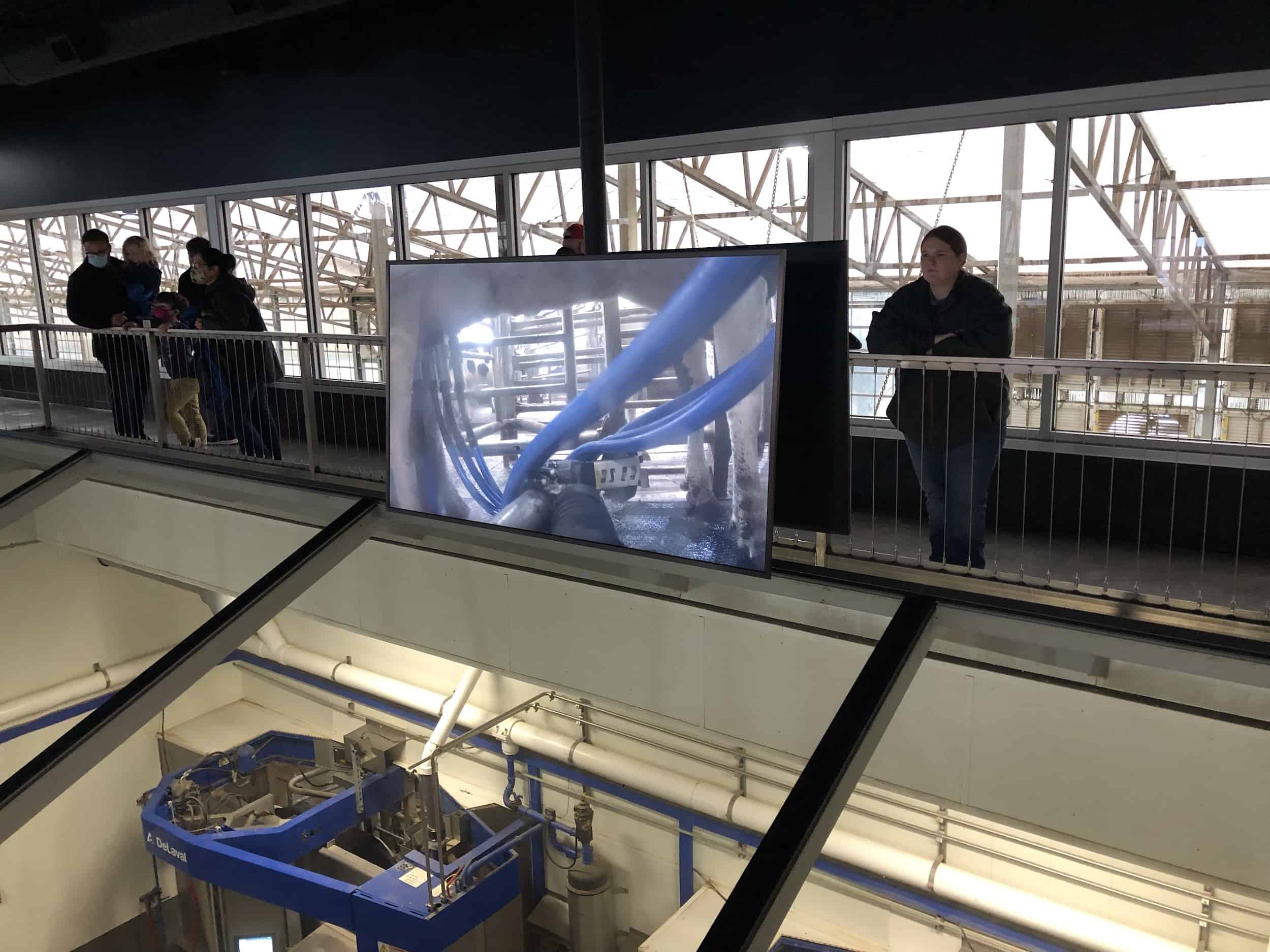 Camera of the DeLaval milking machine on the Dairy Adventure