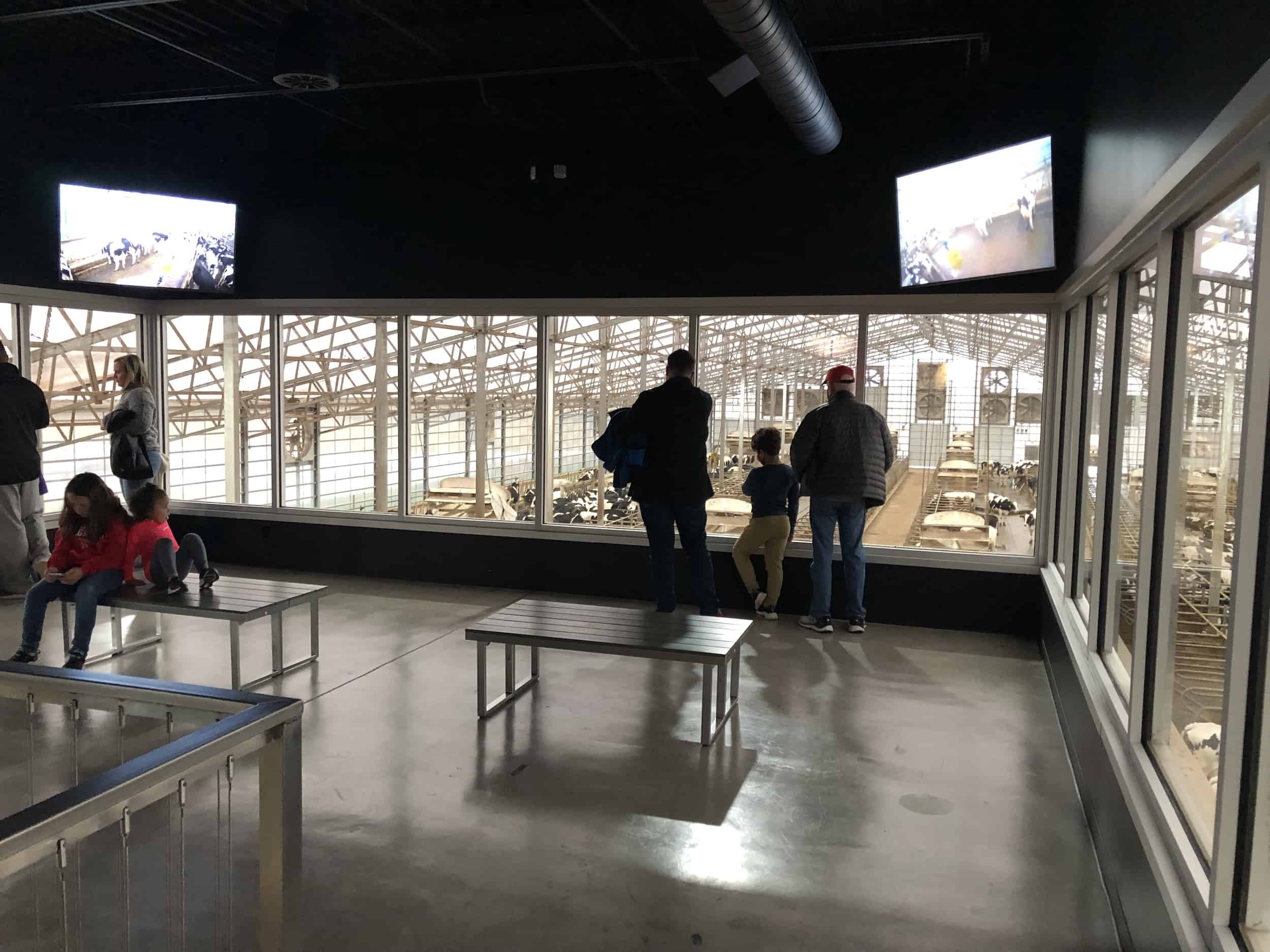 Viewing platform on the Dairy Adventure at Fair Oaks Farms in Indiana