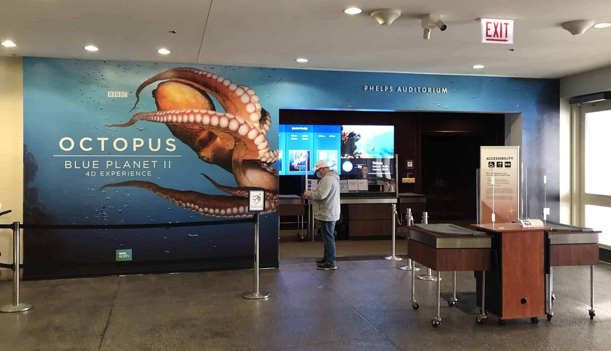 Phelps Auditorium at the Shedd Aquarium in Chicago, Illinois