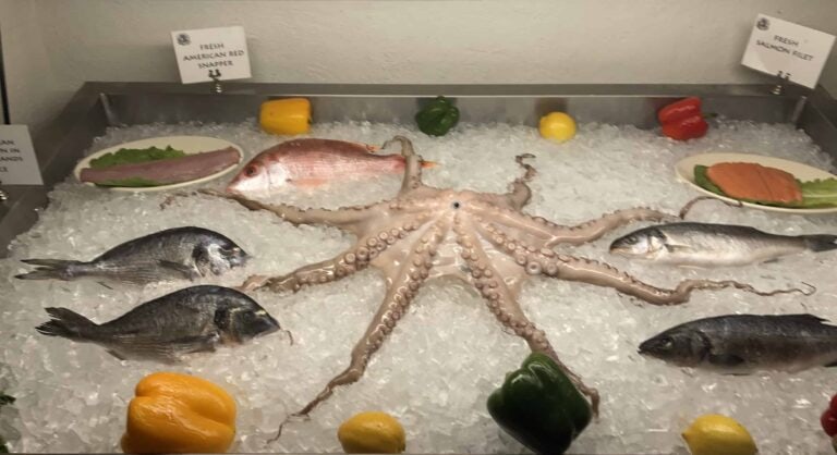 Fresh fish display at Greek Islands