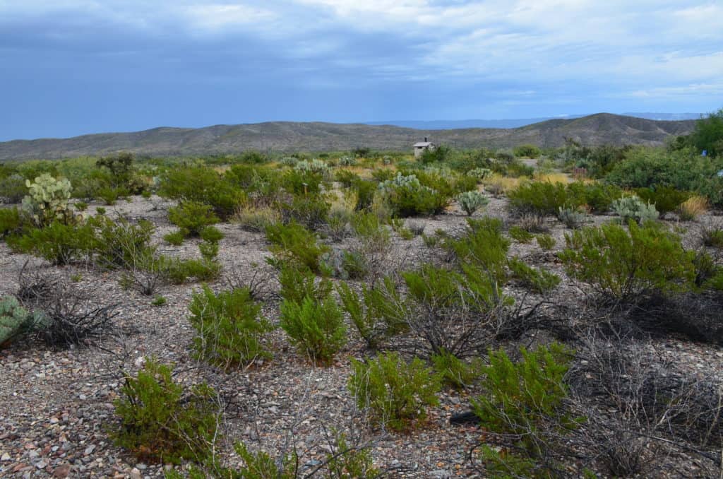 Dugout Wells (Big Bend National Park) - Nomadic Niko