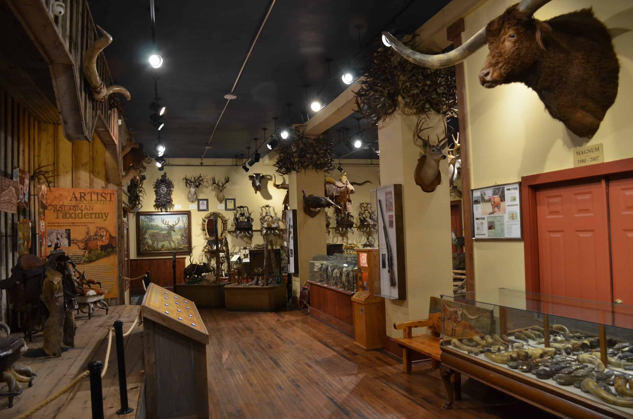 Taxidermy and horn art at the Buckhorn Museum in San Antonio, Texas