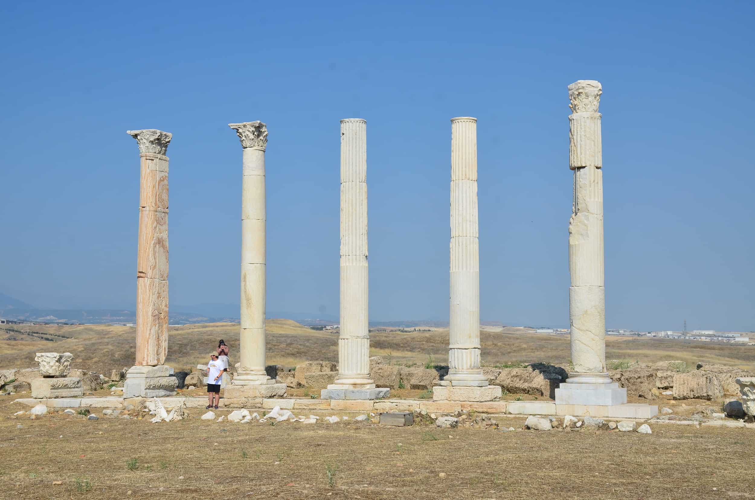Columns of the west portico in the North Agora