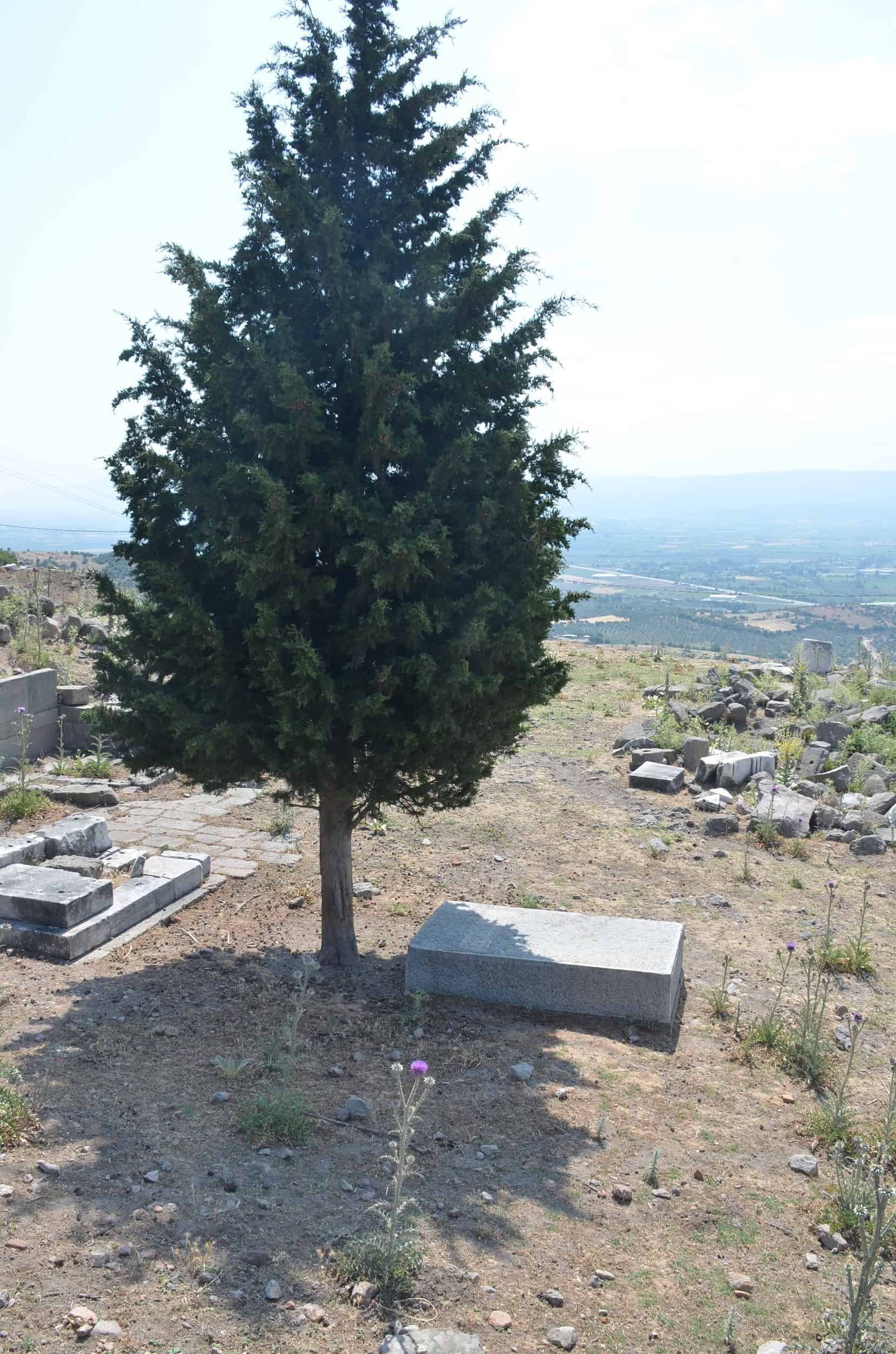 Grave of Carl Humann at the Pergamon Acropolis in Bergama, Turkey