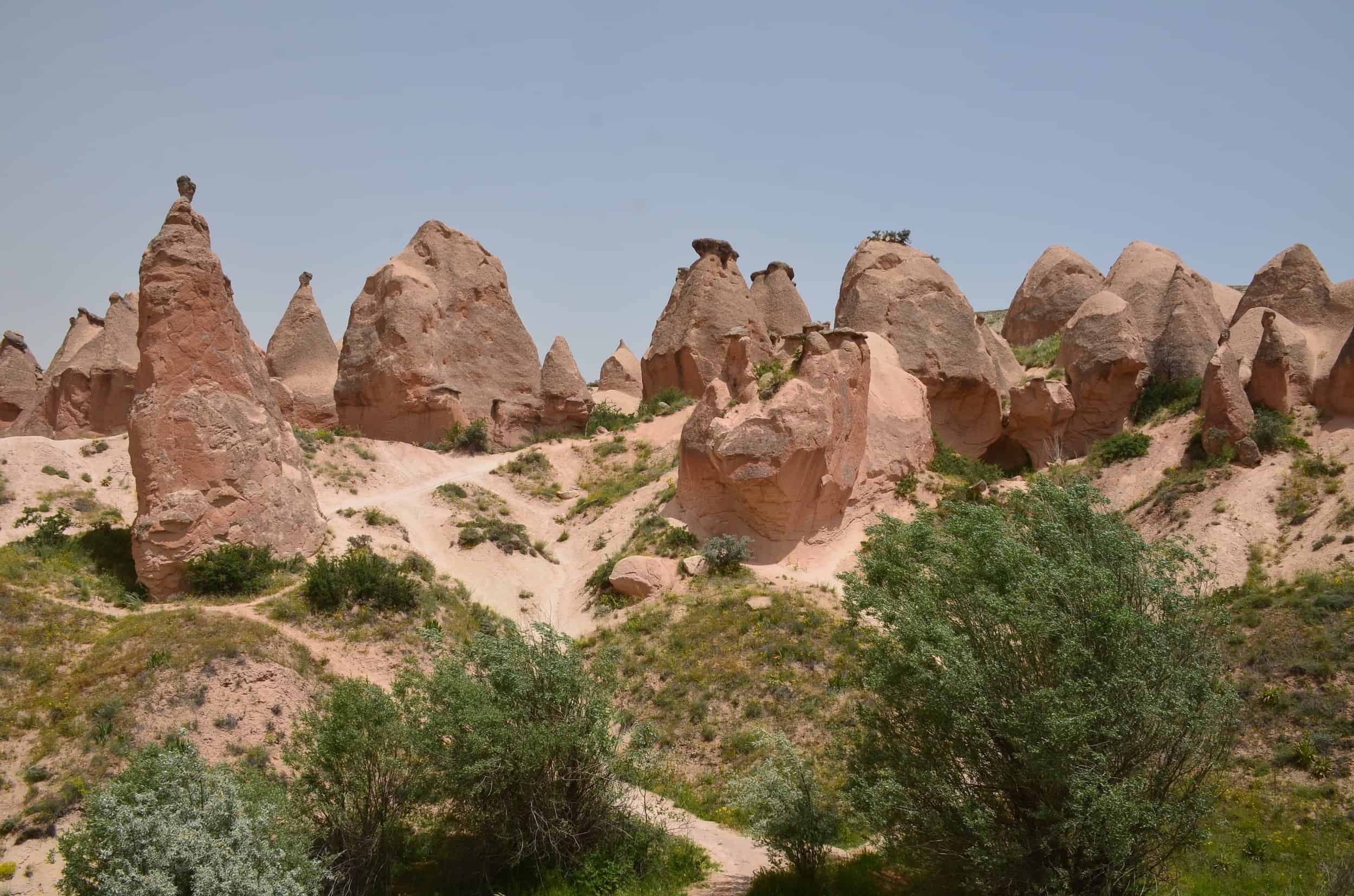 Fairy chimneys and rock formations in Devrent Valley (Imagination Valley) in Cappadocia, Turkey