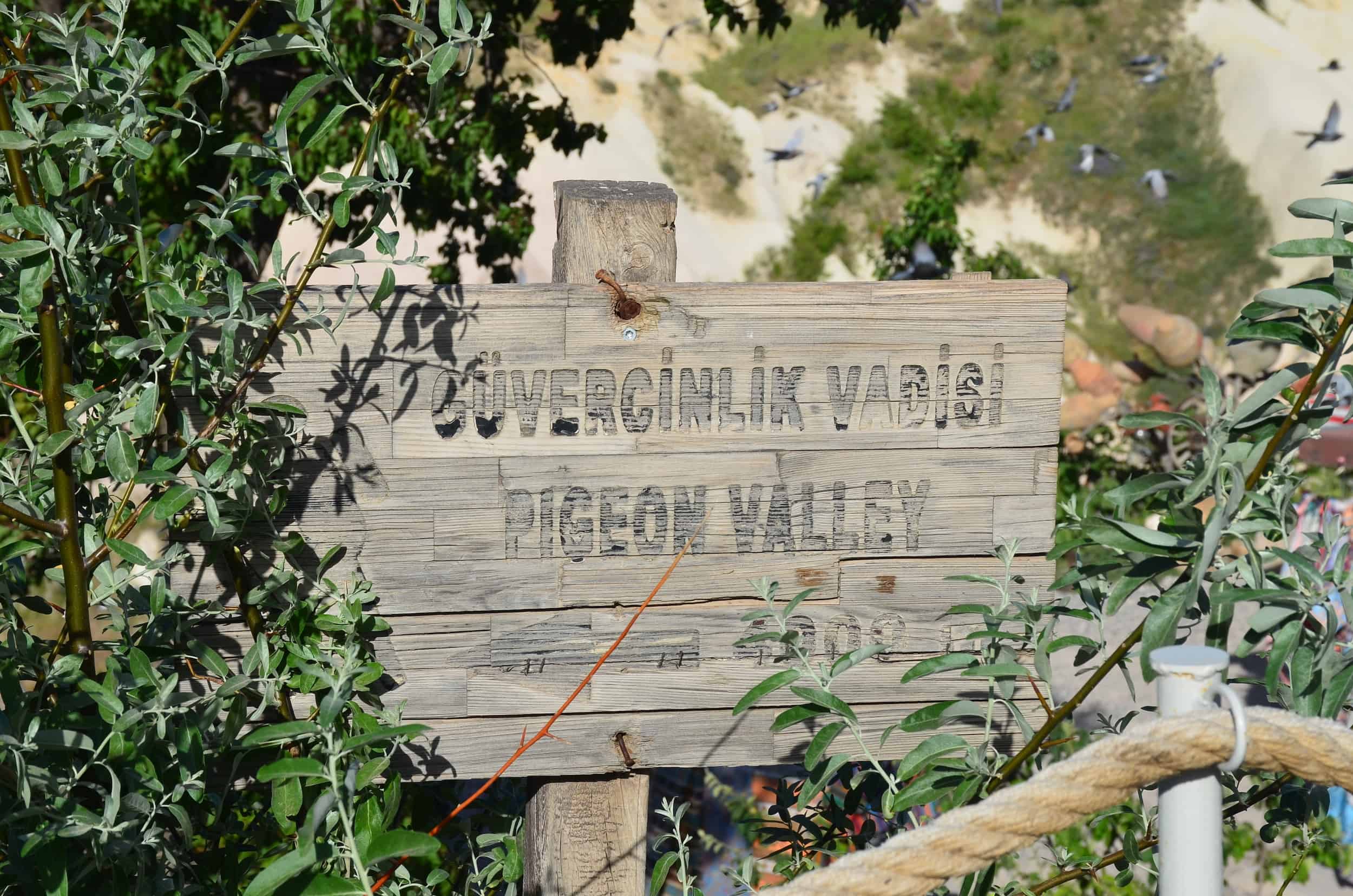 Pigeon Valley