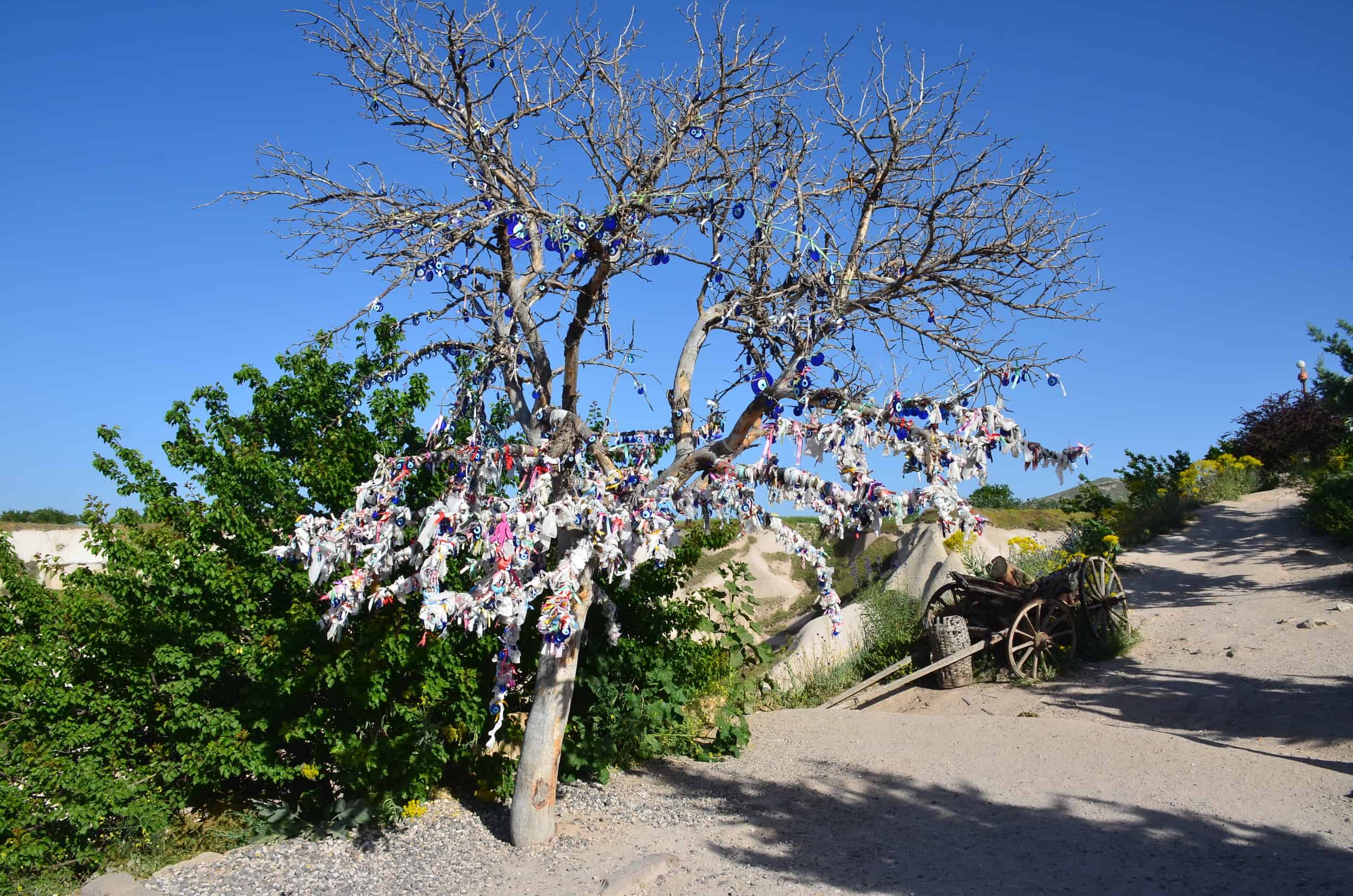 Wishing tree at Pigeon Valley in Cappadocia, Turkey