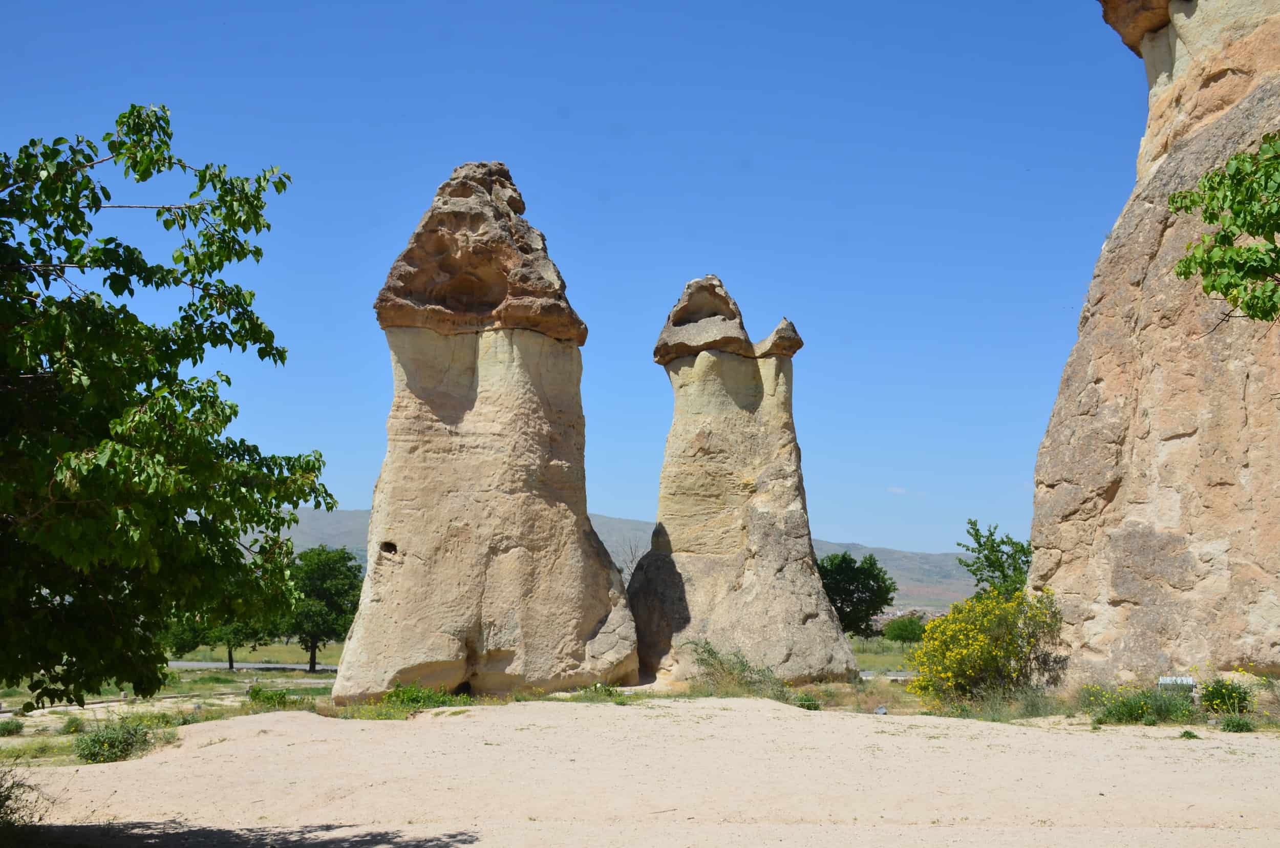 Fairy chimneys at Paşabağ (Monk's Valley) in Cappadocia, Turkey