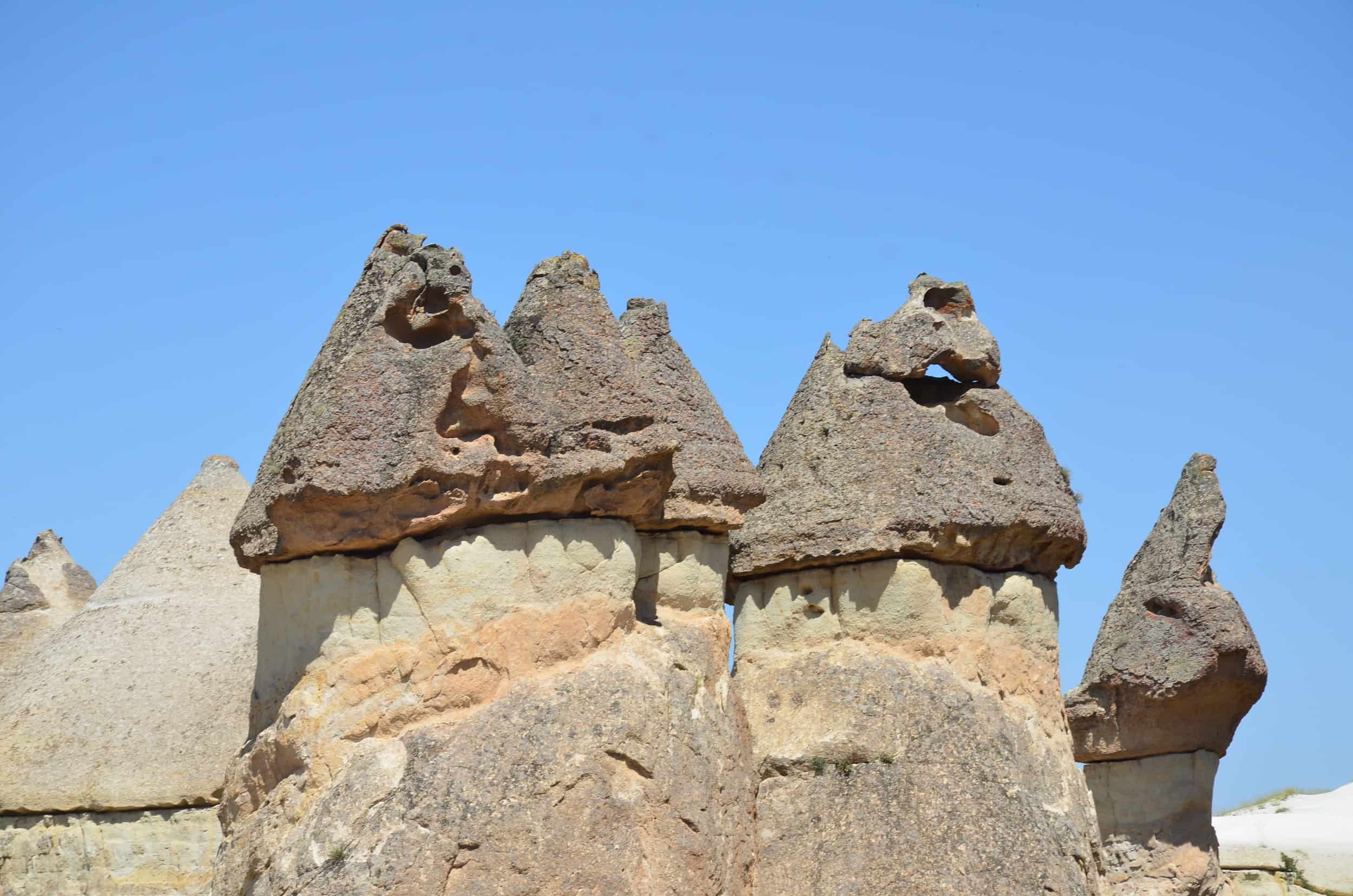 Mushroom caps at Paşabağ (Monk's Valley) in Cappadocia, Turkey